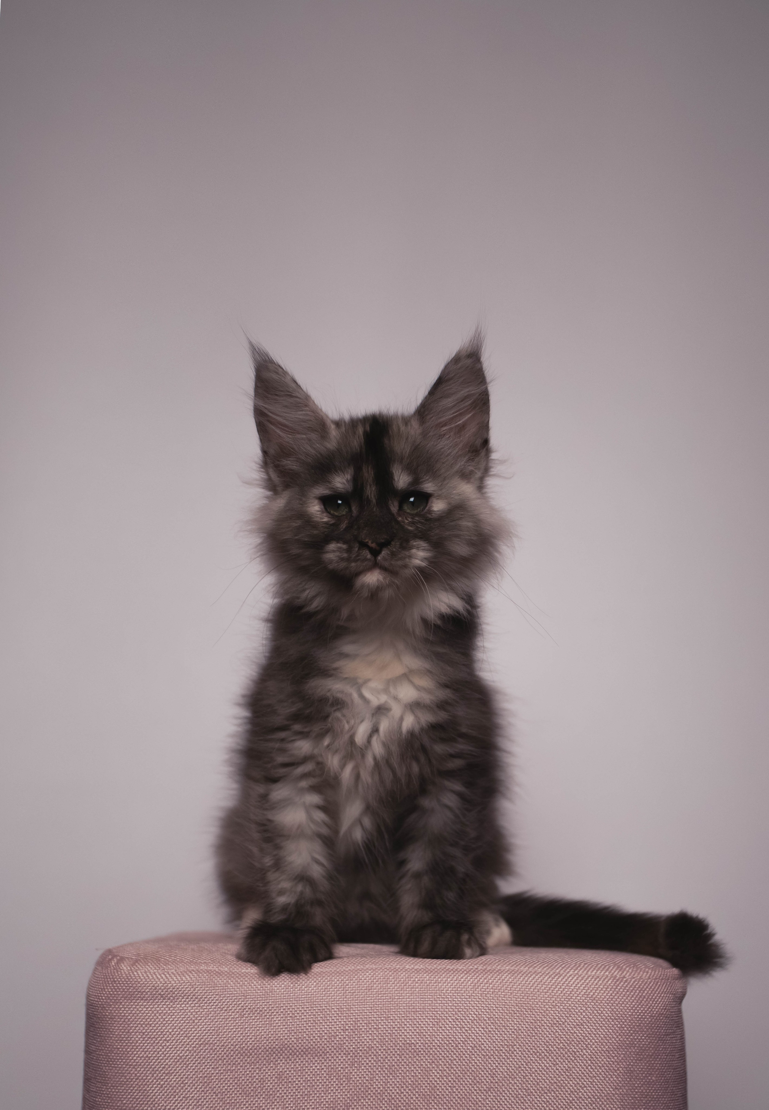 HanFors. Женский и предметный фотограф