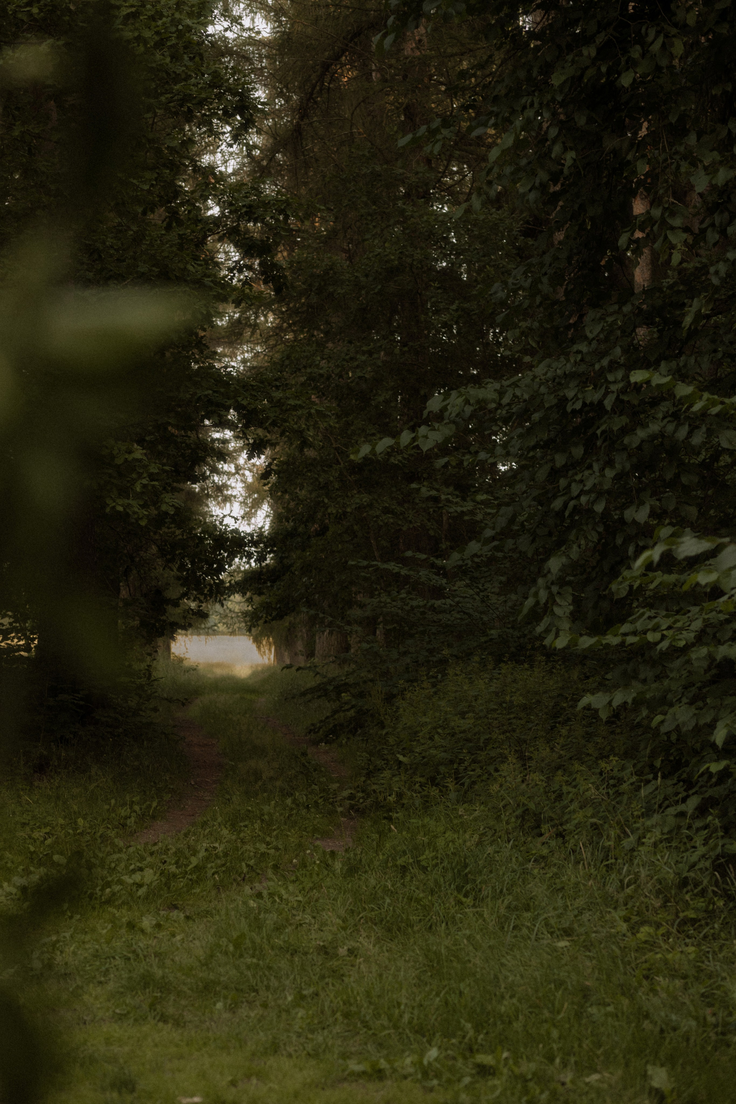 Yan & Polina. Part II: Nobody knows it but me. Фотограф Лия Козловская Минск