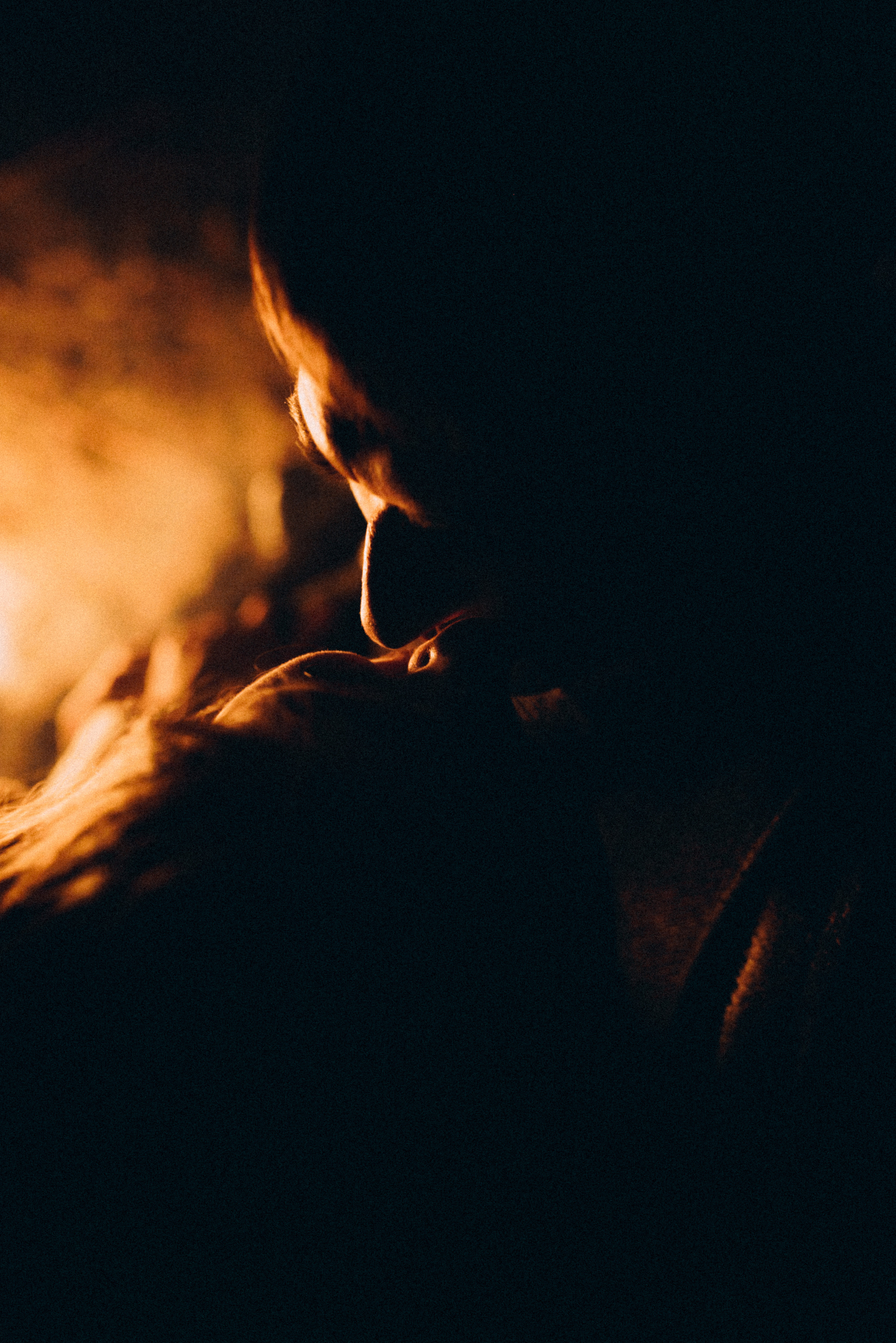 *. Фотограф Данил Бушуев