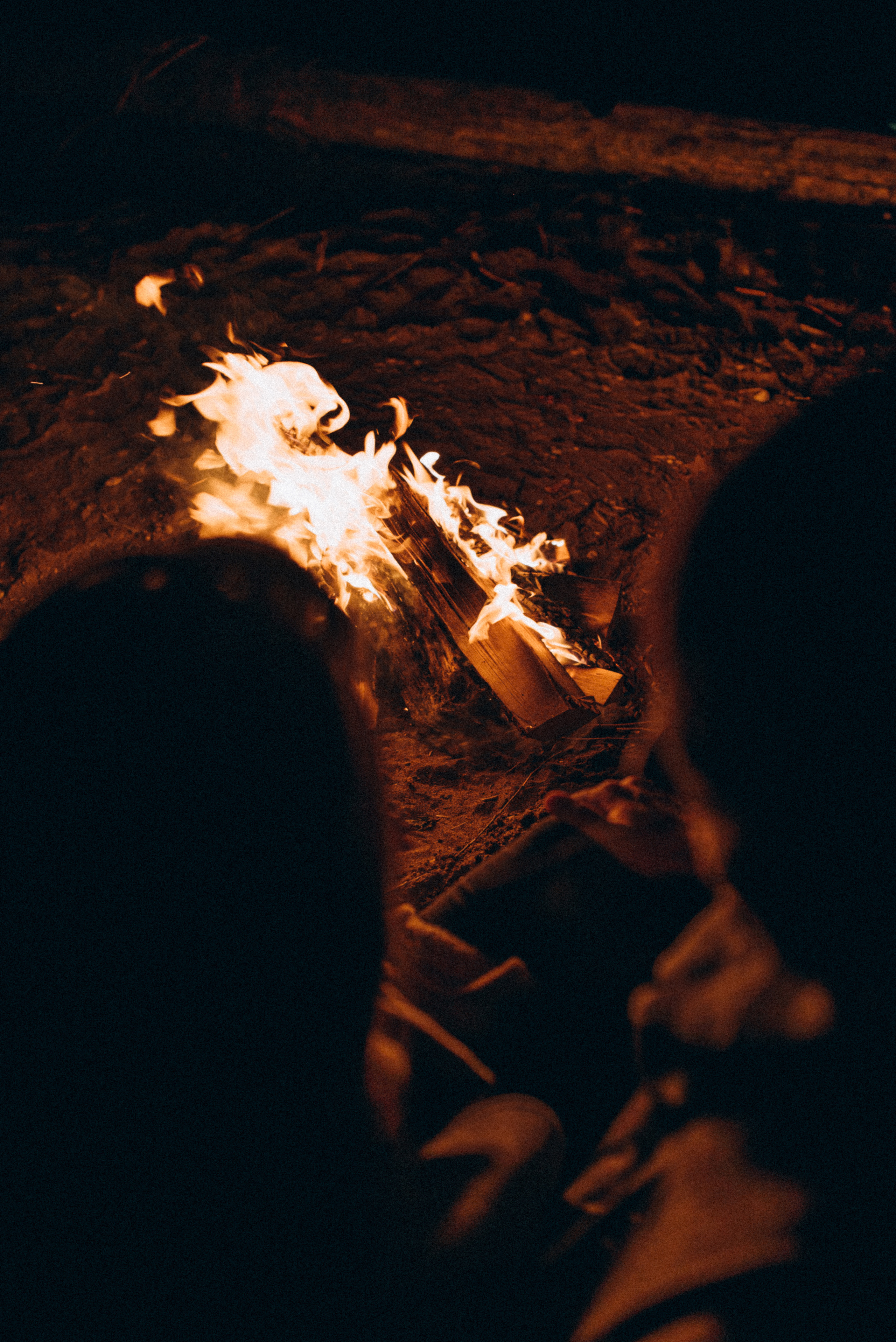 *. Фотограф Данил Бушуев
