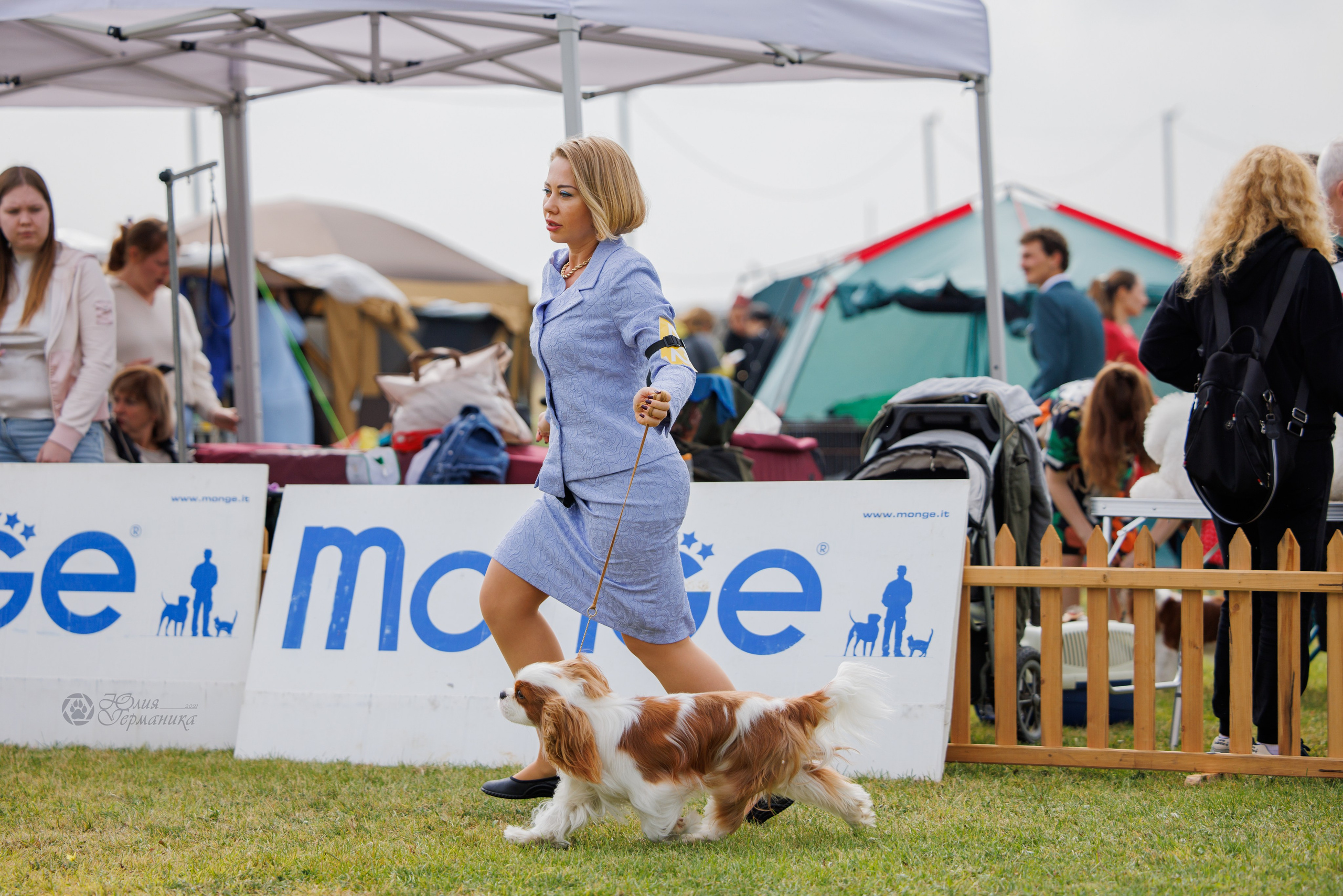 Армения,Ереван 3хCACIB 15-17.10.2024. Фотограф-анималист Юлия Германика