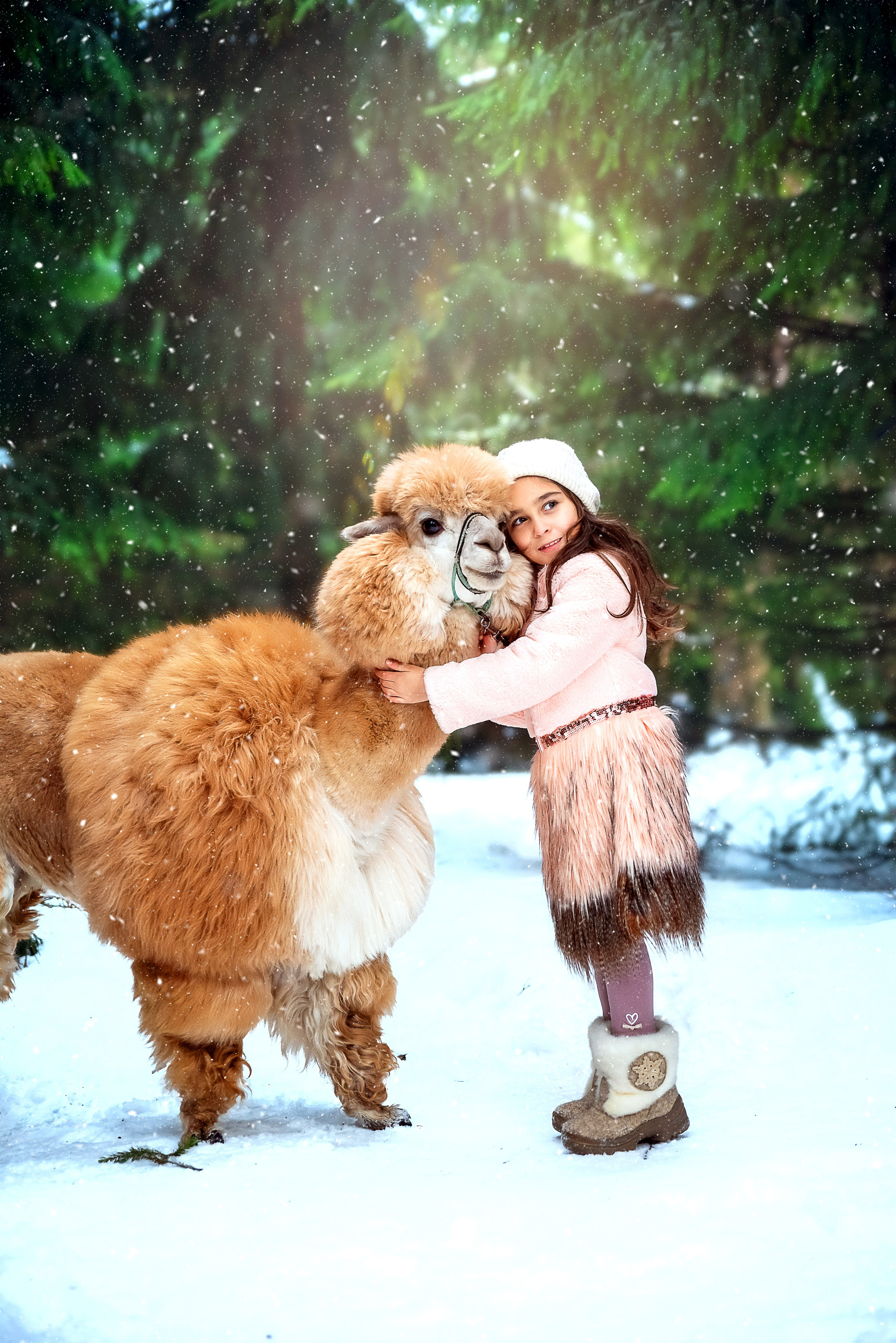 Альпаки. Фотограф в Москве Lidiya_Li_Photo