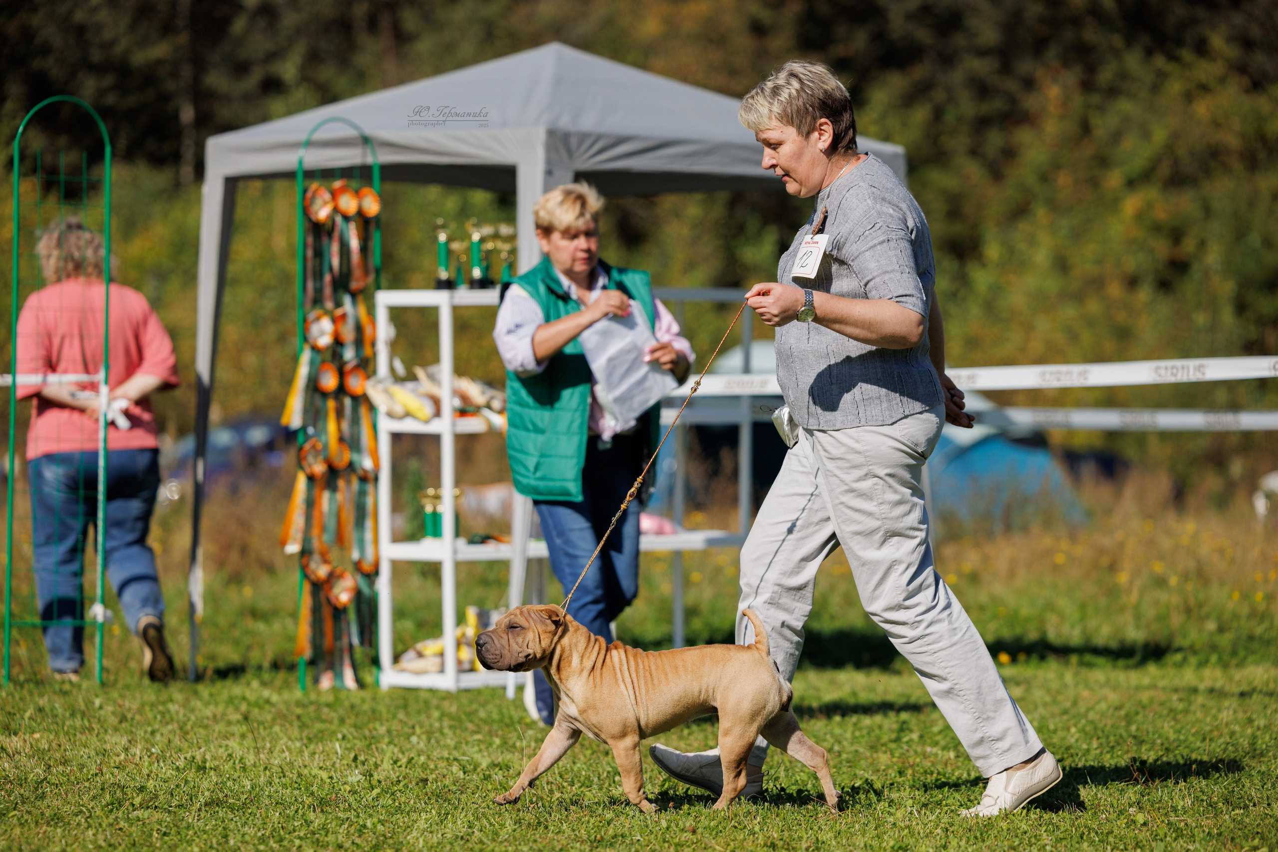 Зеленоград 13.09.2025. Фотограф-анималист Юлия Германика