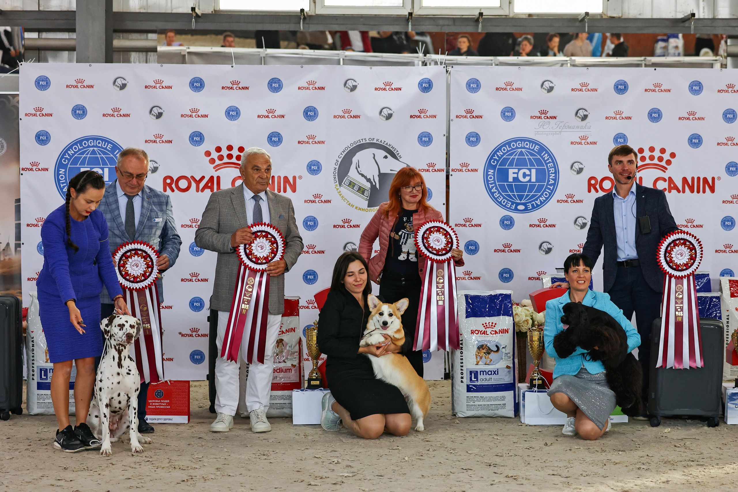 Астана 2хCACIB 26-28.09.2025. Фотограф-анималист Юлия Германика