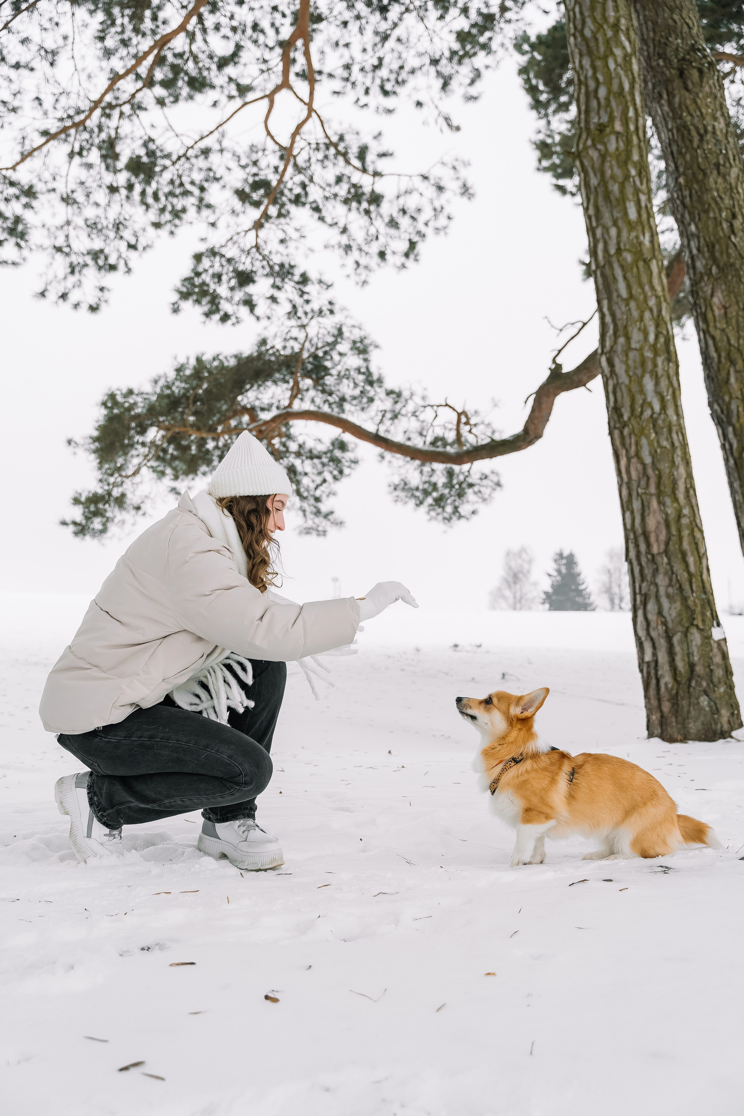 Зимние выходные. Свадебный Фотограф Минск || Фото и Видеосъёмка Минск || Другие города