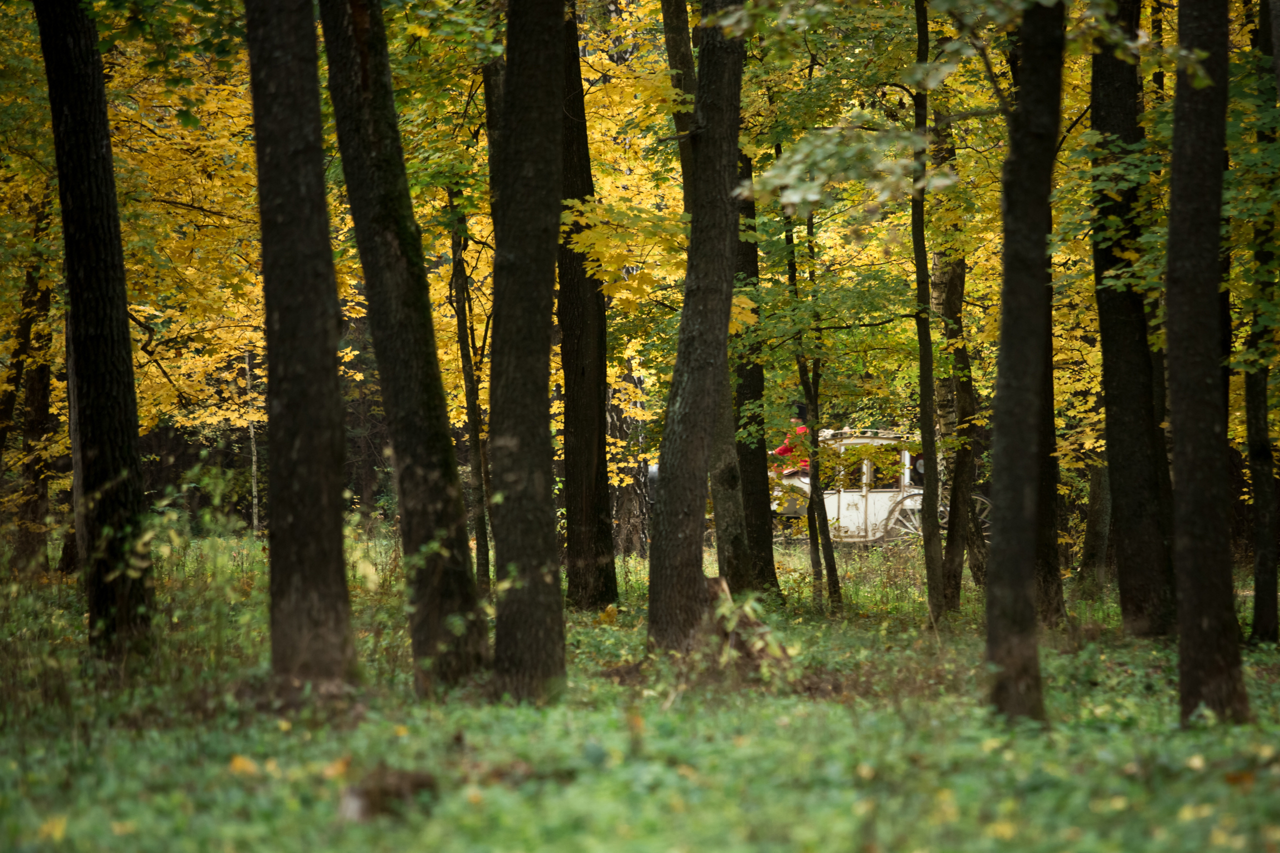Эдуард и Елена. Свадебный фотограф в Воронеже Александр Пенкин
