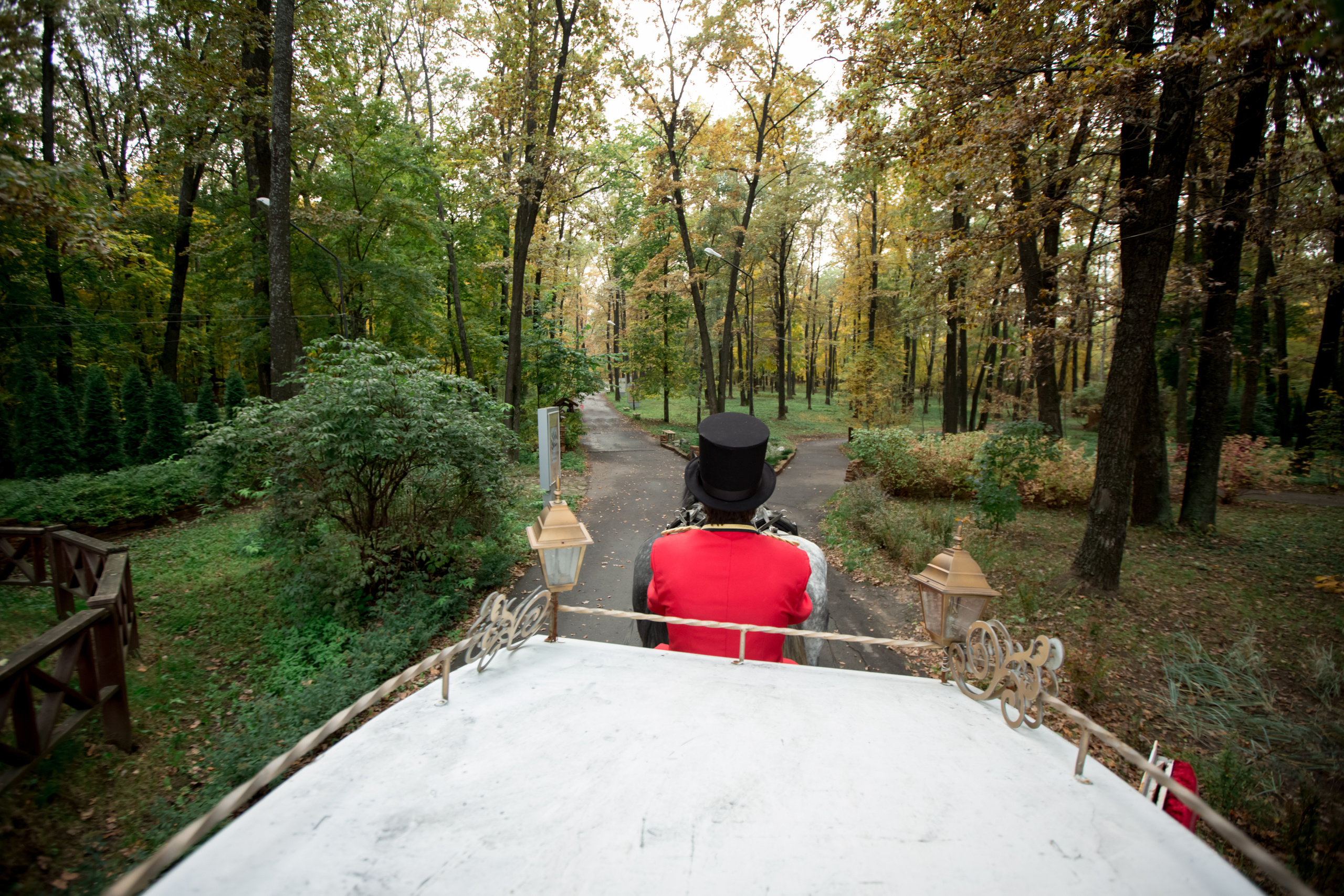 Эдуард и Елена. Свадебный фотограф в Воронеже Александр Пенкин