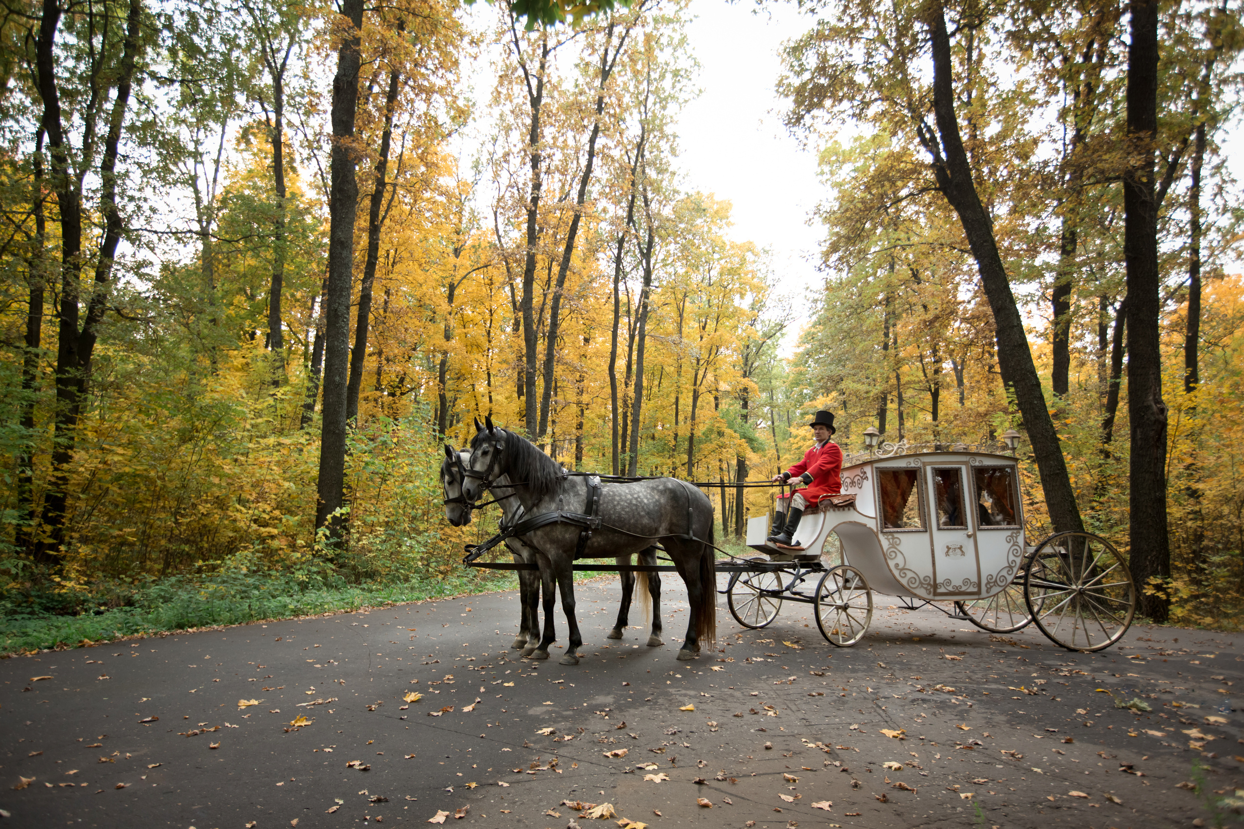 Эдуард и Елена. Свадебный фотограф в Воронеже Александр Пенкин