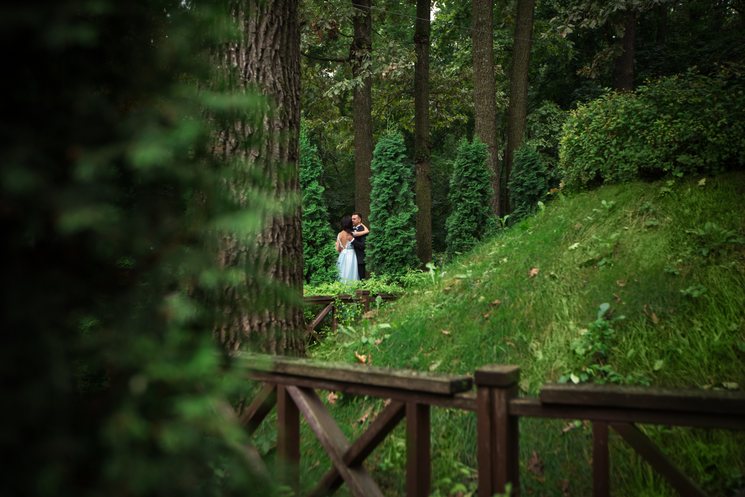 Николай и Алеся. Свадебный фотограф в Воронеже Александр Пенкин