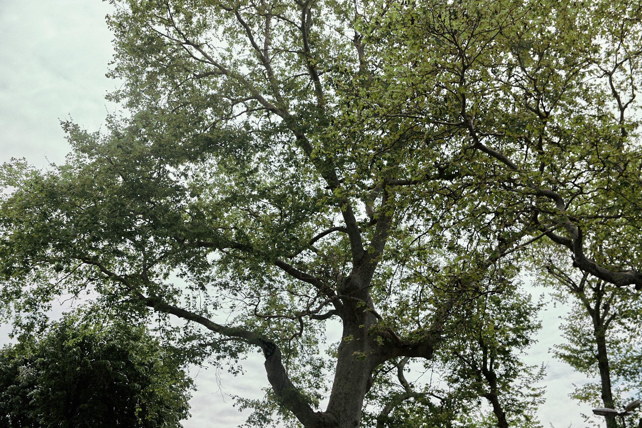 Улица горизонтальная. Jorgis — фотограф в Хургаде / обучение фотографии