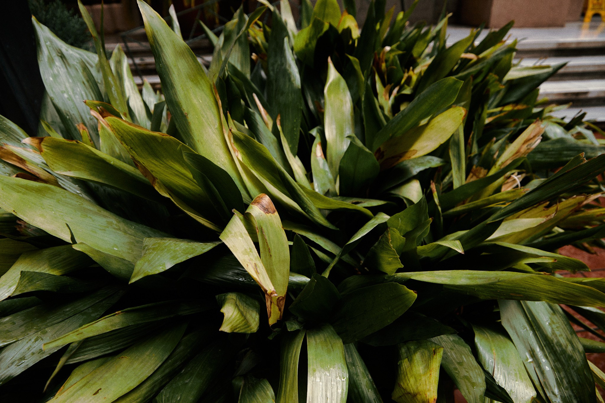 Улица горизонтальная. Jorgis — фотограф в Хургаде / обучение фотографии