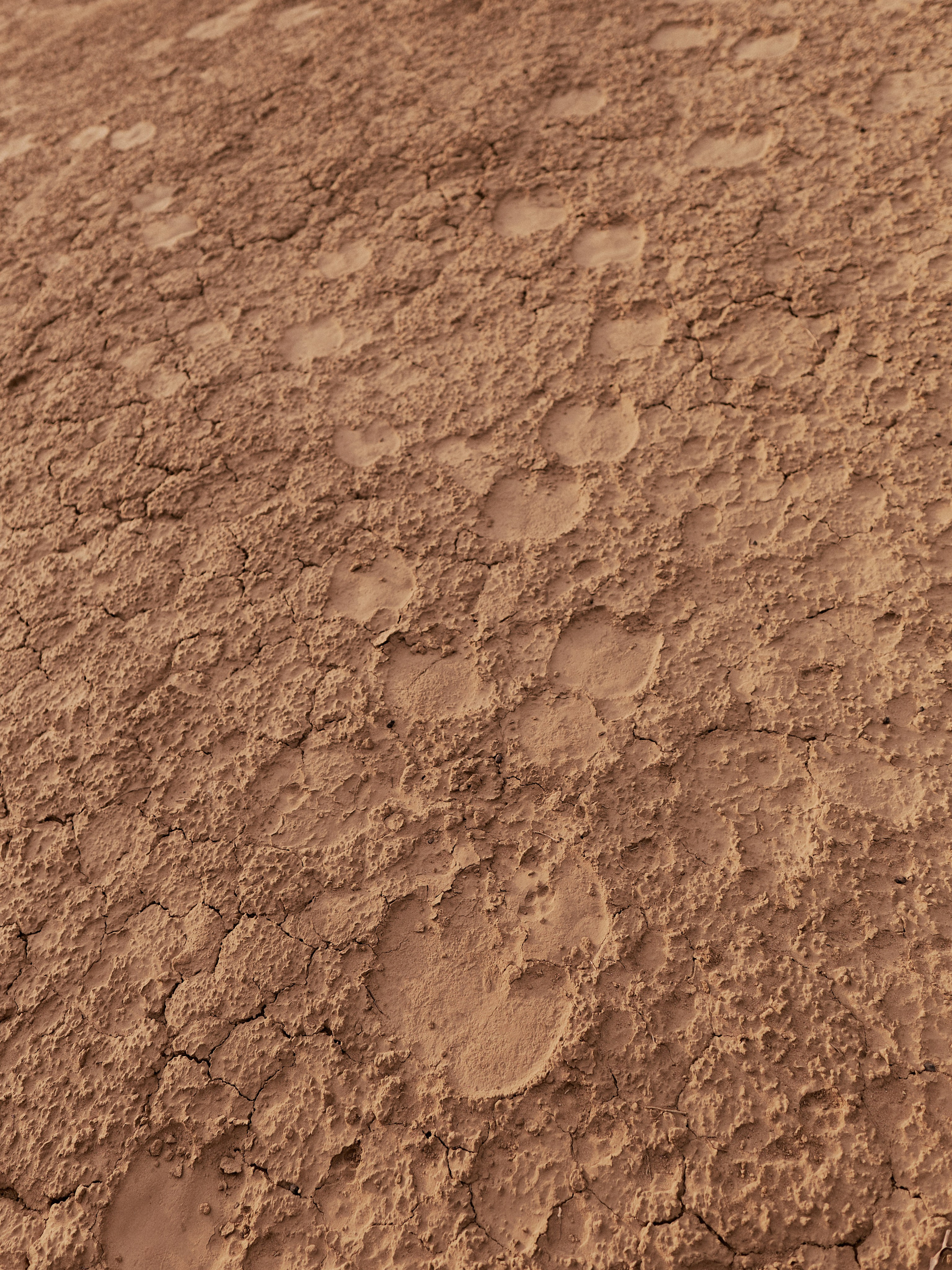 Другое 3. Jorgis Talè — photographer, kind person, teacher of arts and other mag