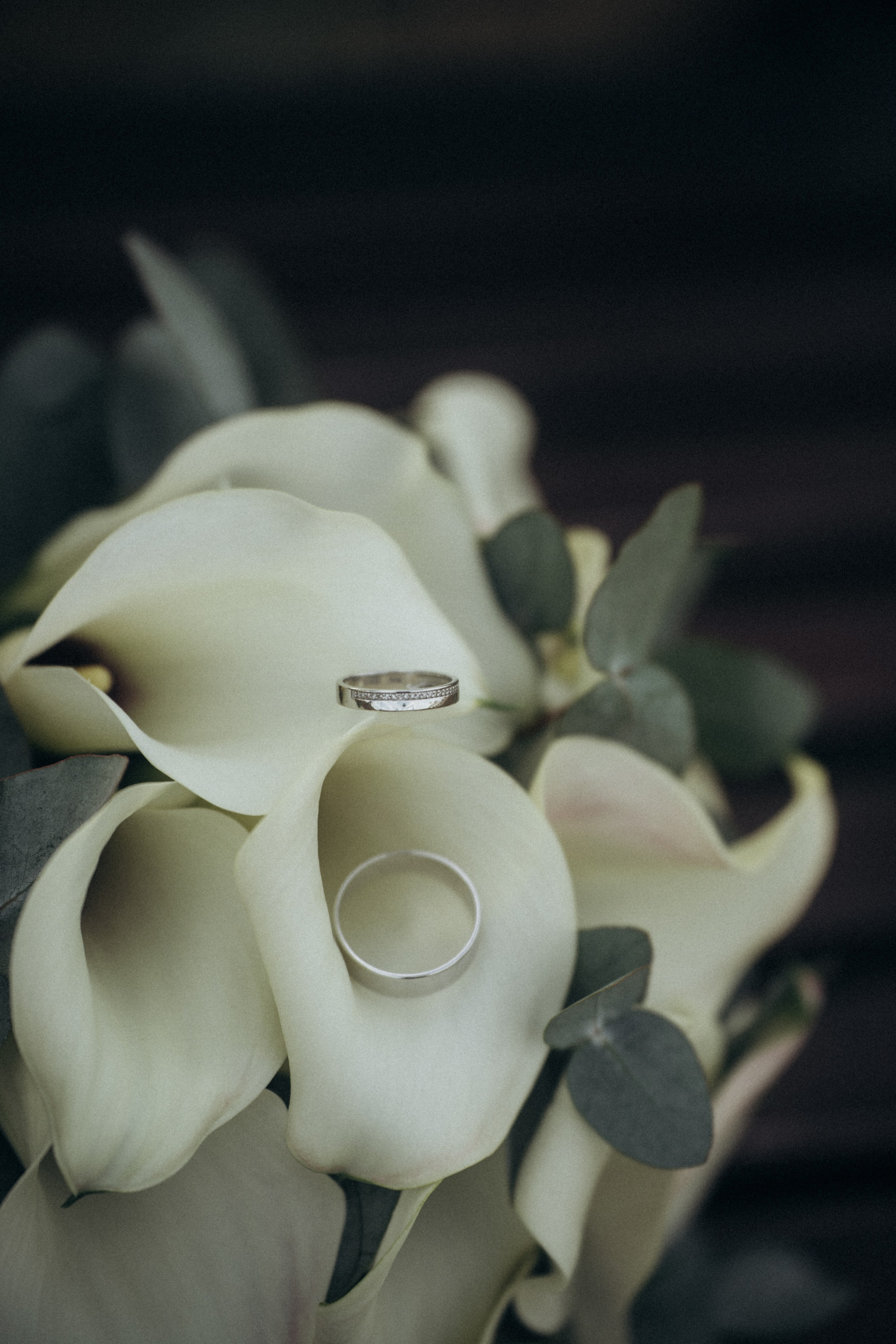 Свадебная фотосессия Голубицкое фотограф Анапа Темрюк Геленджик Абрау-Дюрсо Новороссийск