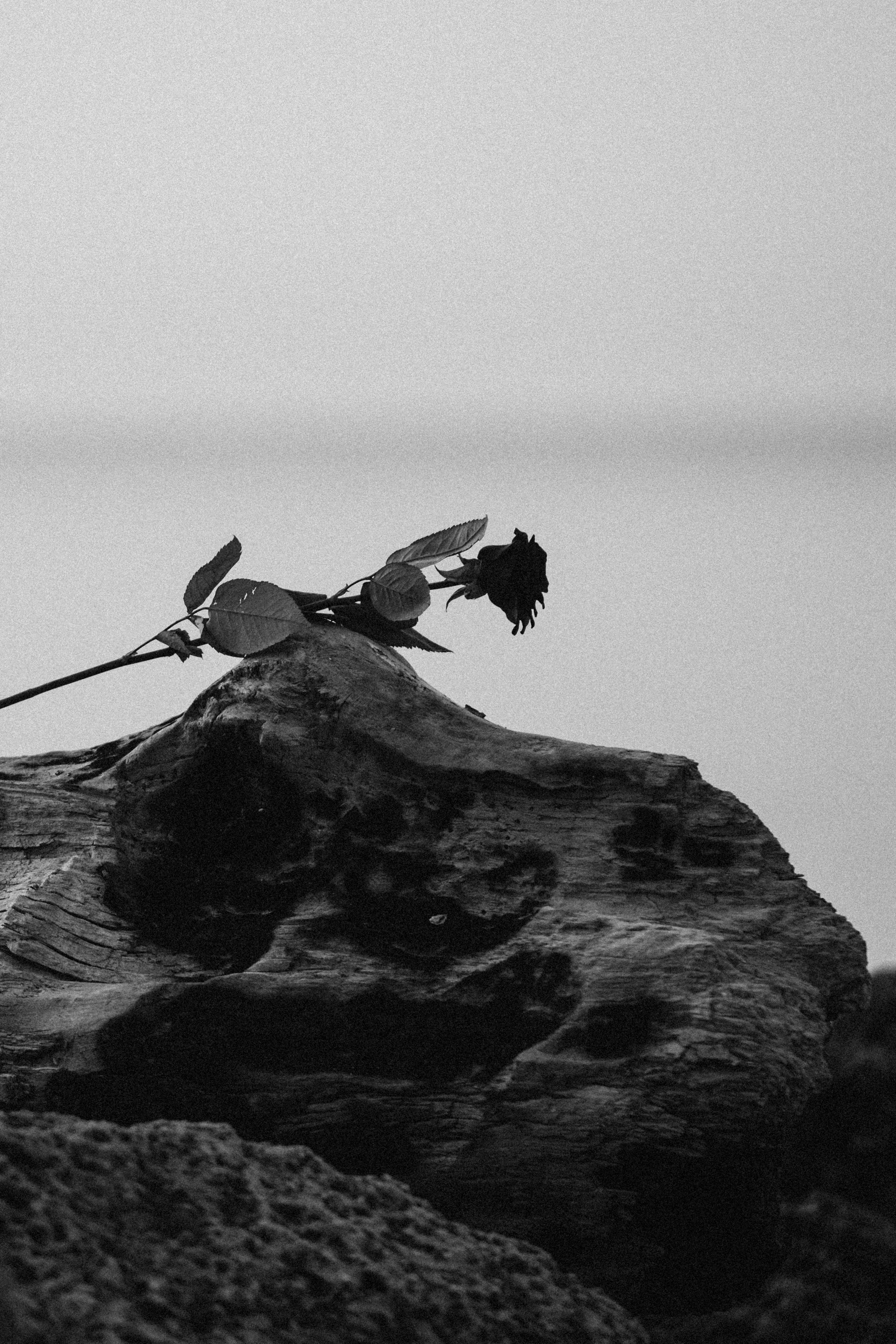 Фотограф демонстрирует работу с моделью на морском фоне, фотосессия девушки на Азовском море, фотограф Темрюк