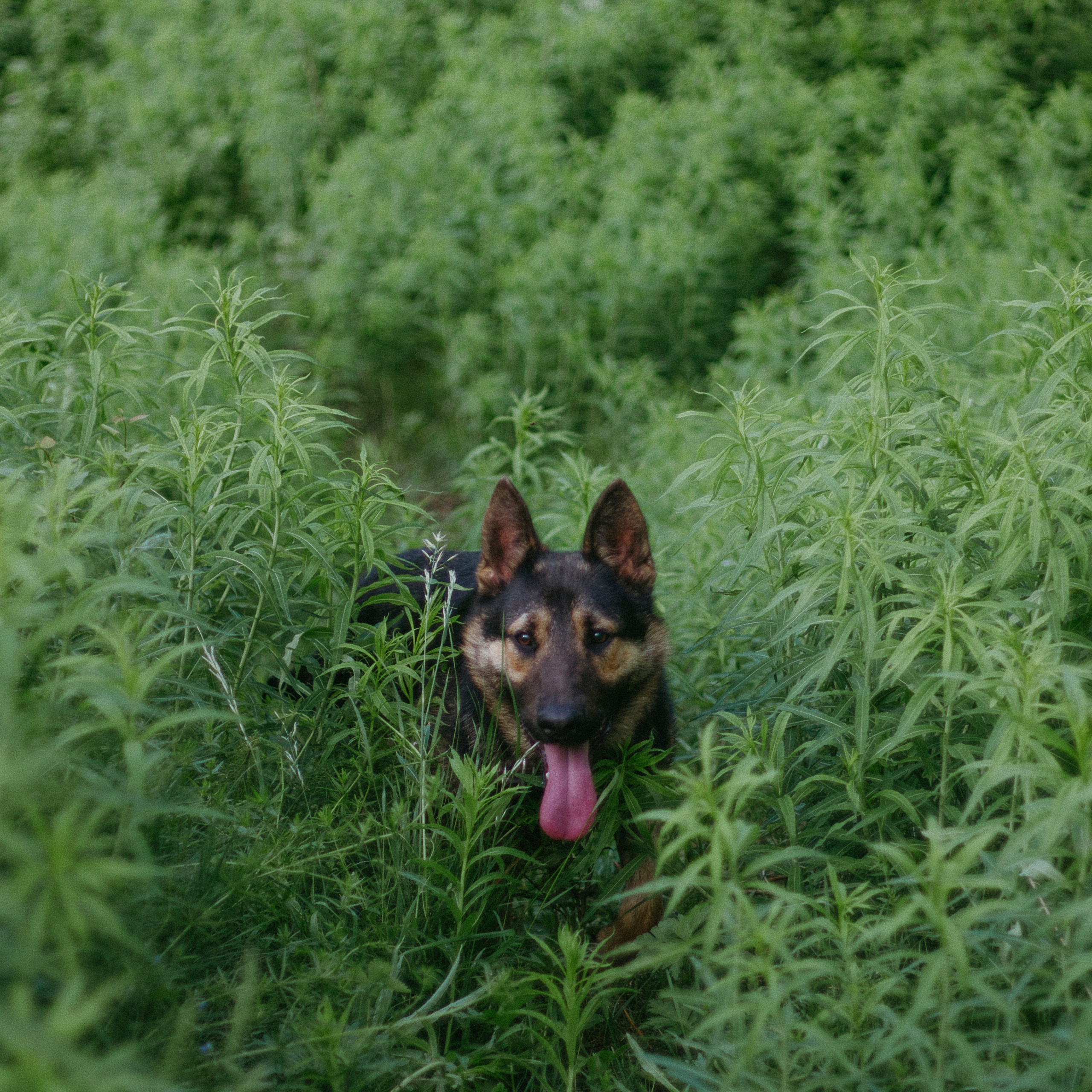 306. Варвара Бабёнышева