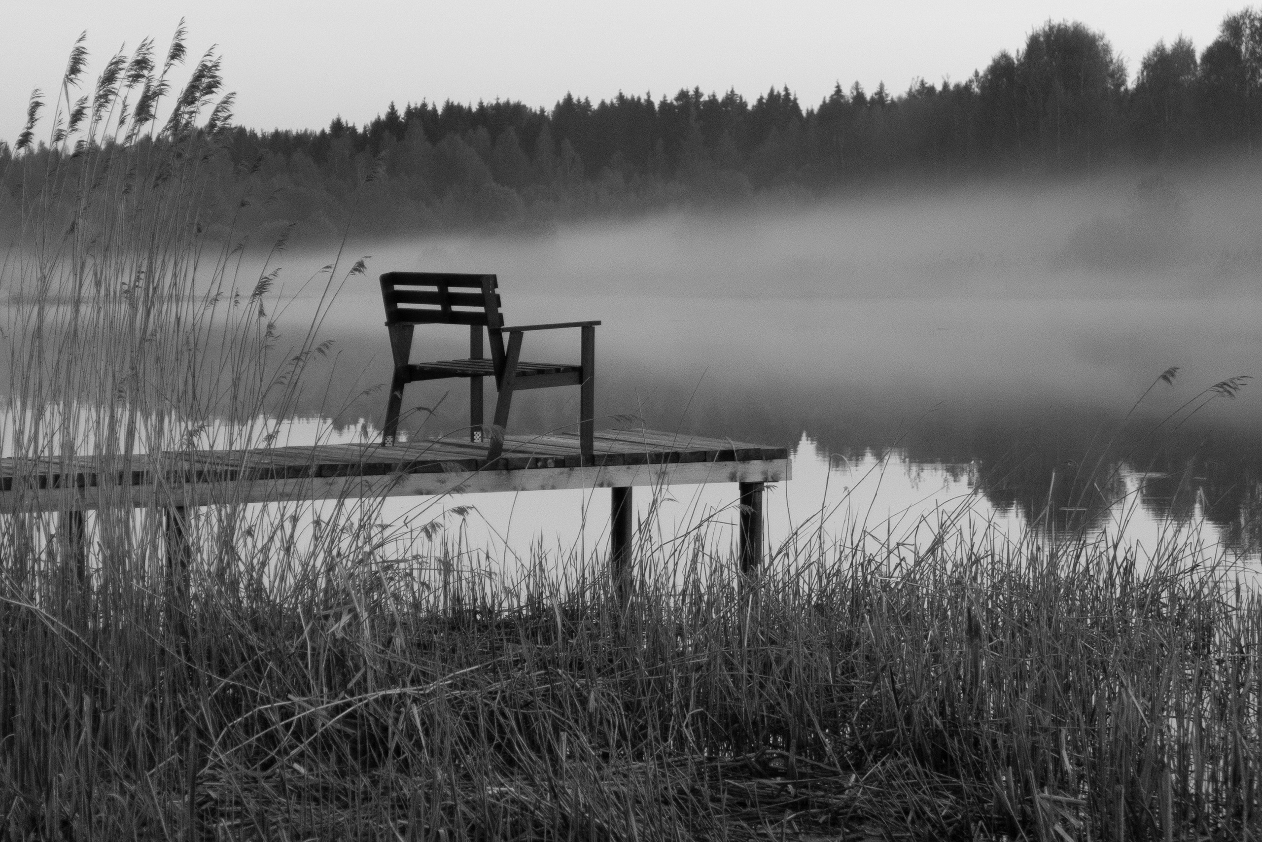 Жанр. Фотограф Лагутин Анатолий