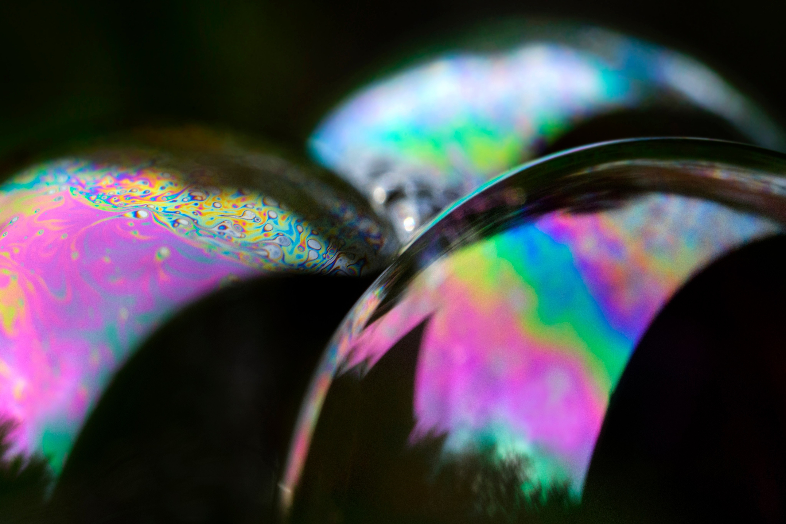 Макро. Фотограф Лагутин Анатолий