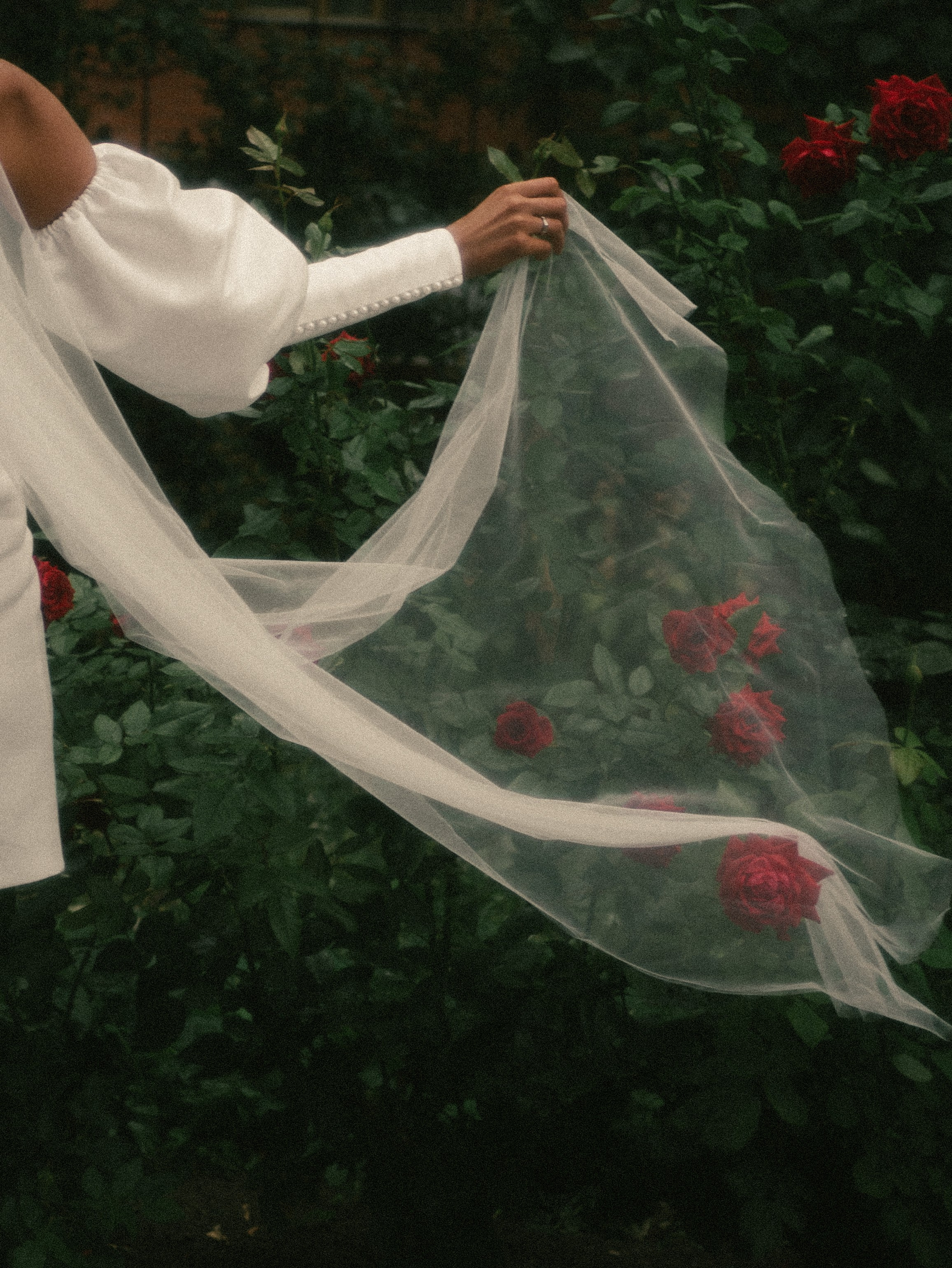 Любовь, радуга и розы. Фотограф Нэля Хаматова