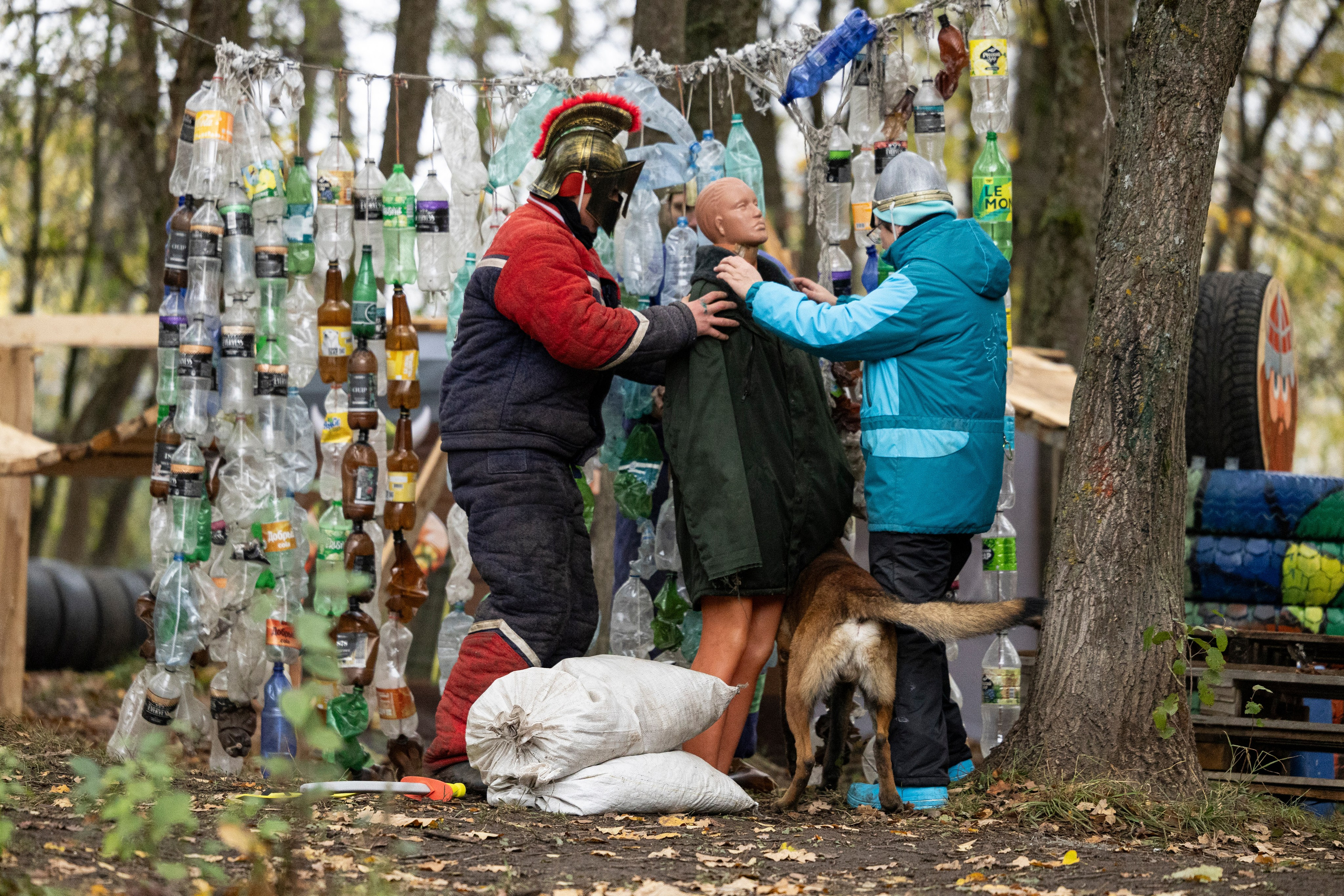 Соревнования по Мондьорингу г. Вологда. Фотограф-анималист Анна Маринич