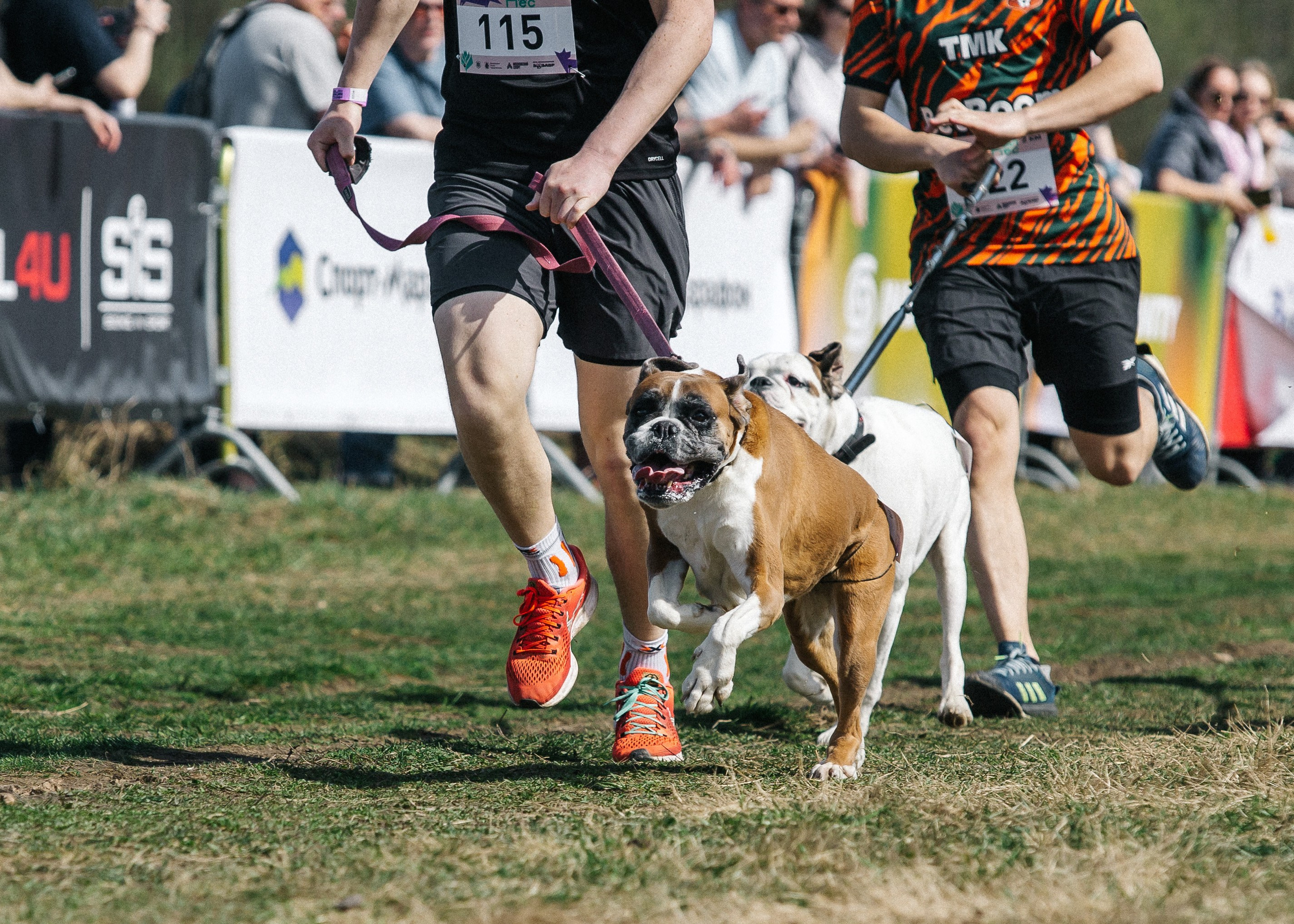 Кросс «Быстрый пёс» 2025. Репортажный фотограф в Москве