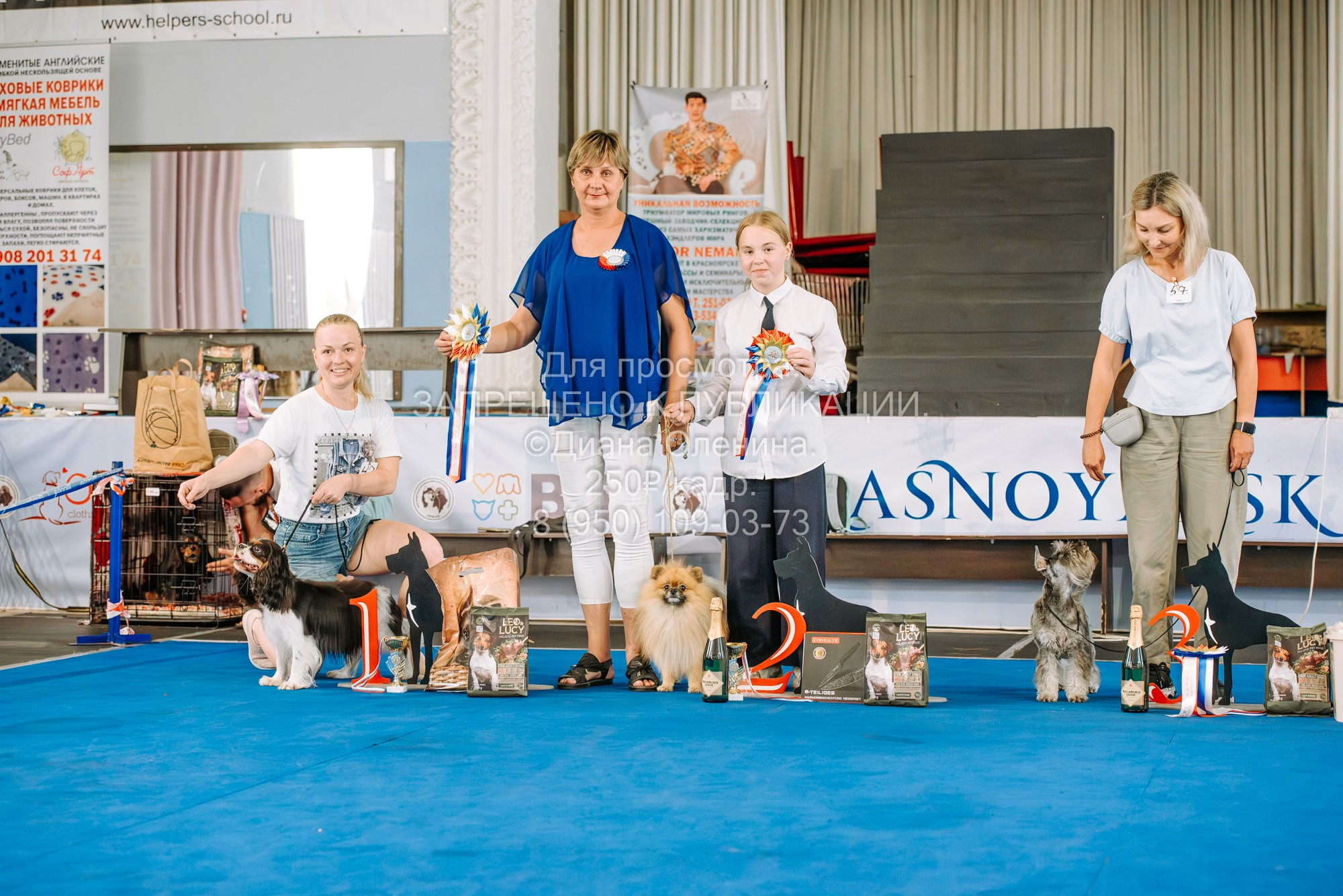 Национальная выставка собак всех пород ранга САС-IKU «Кубок Красноярск. Фотограф Диана Оленина Красноярск / Братск