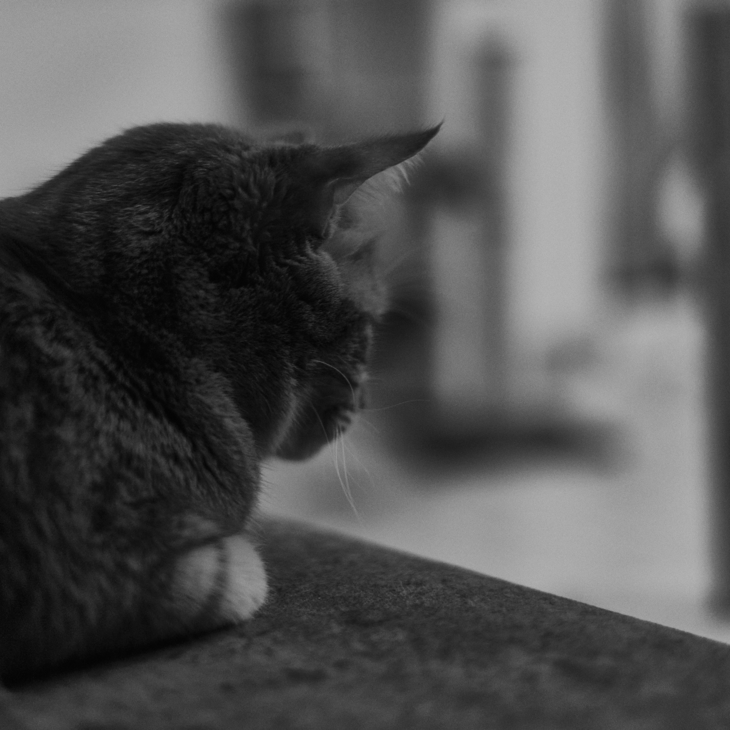 B&W. Jorgis — фотограф в Хургаде / обучение фотографии