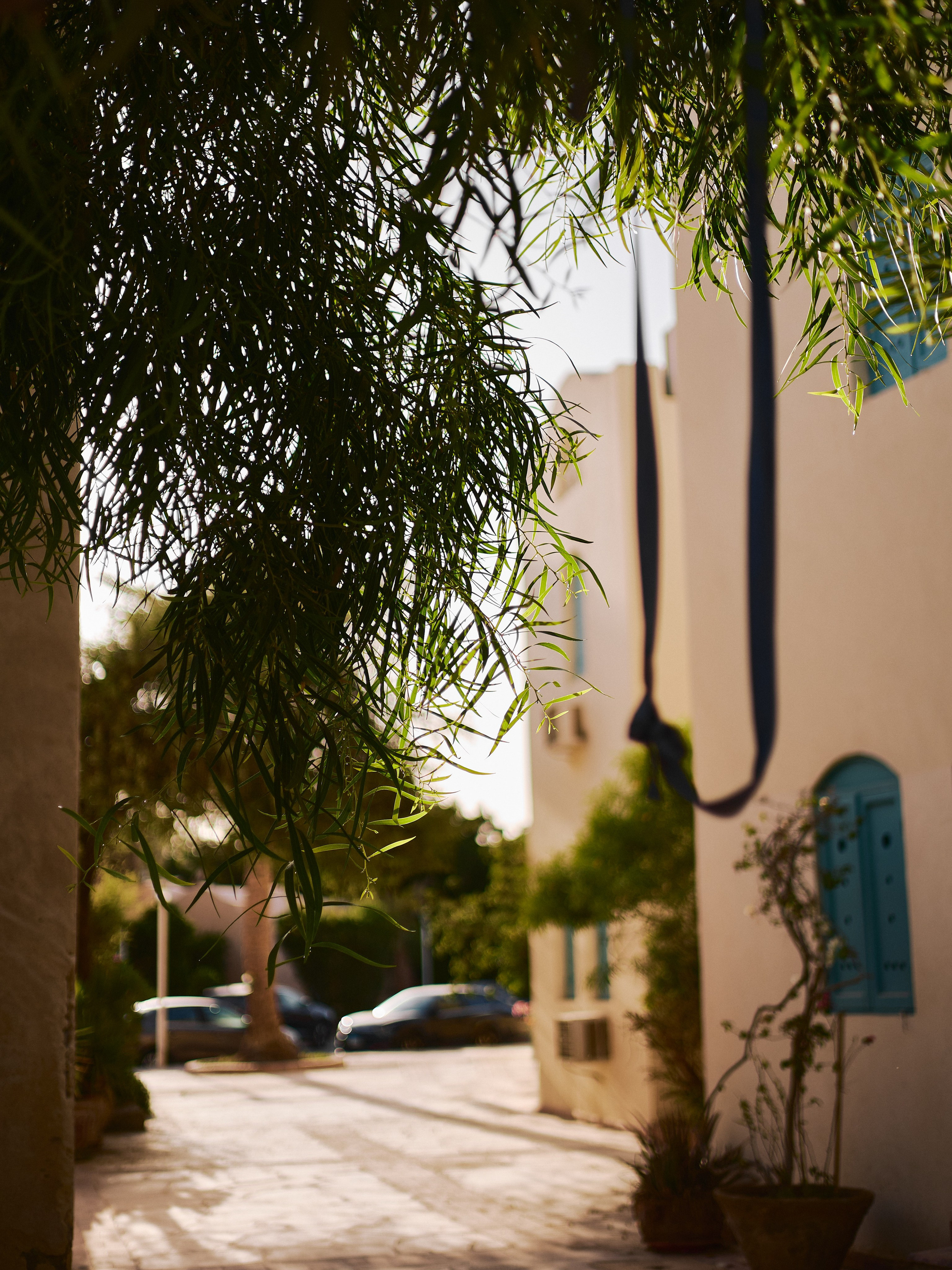 Другое 2. Jorgis Talè — photographer, kind person, teacher of arts and other mag