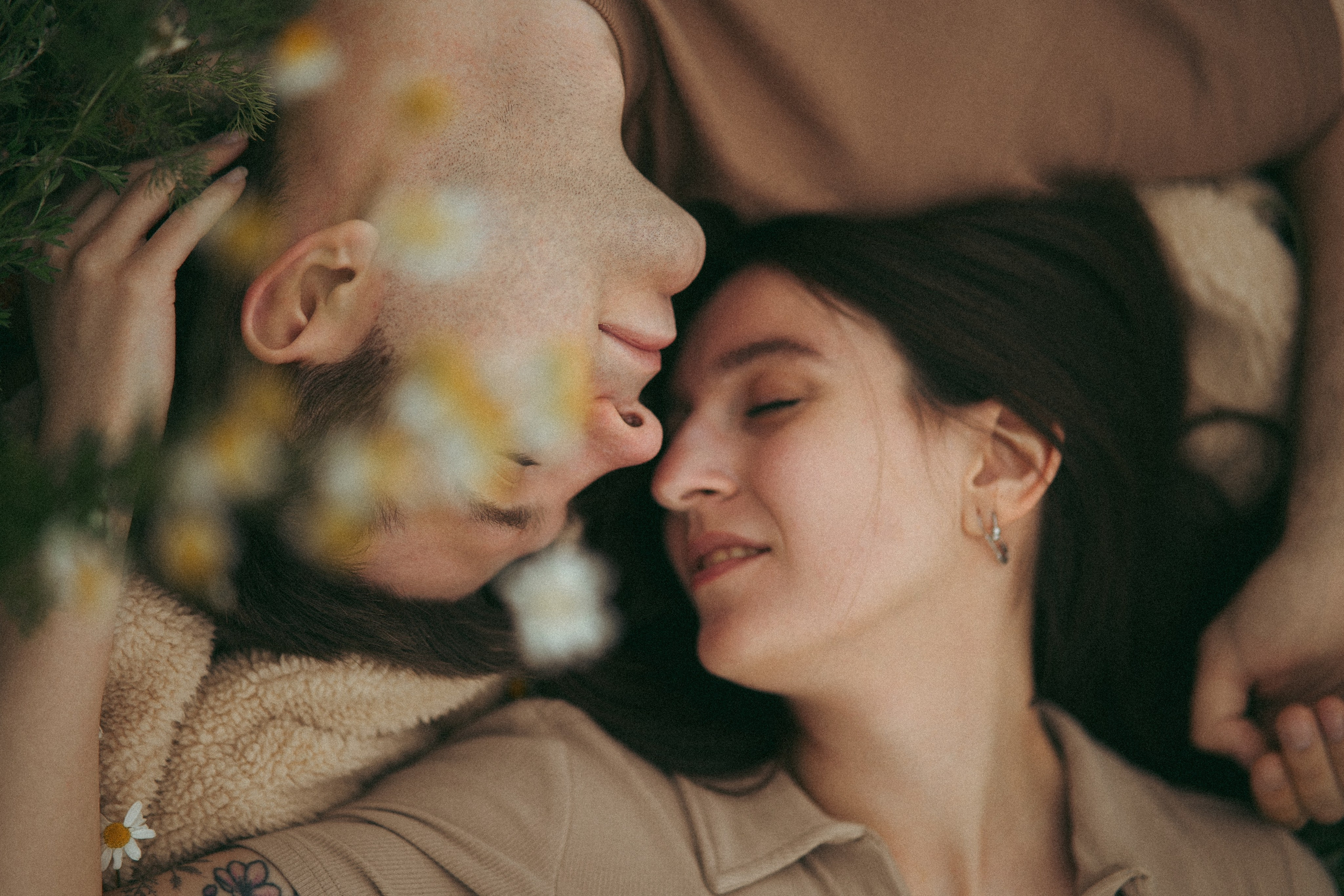 Ромашки. Фотограф Мария Зайчик