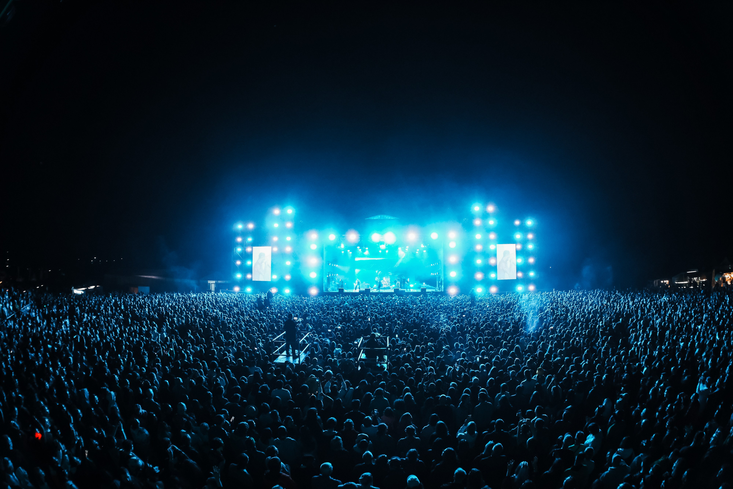 ДИКАЯ МЯТА 14-16.06.24. Концертный и репортажный фотограф в Москве и Санкт-Петербурге Мария