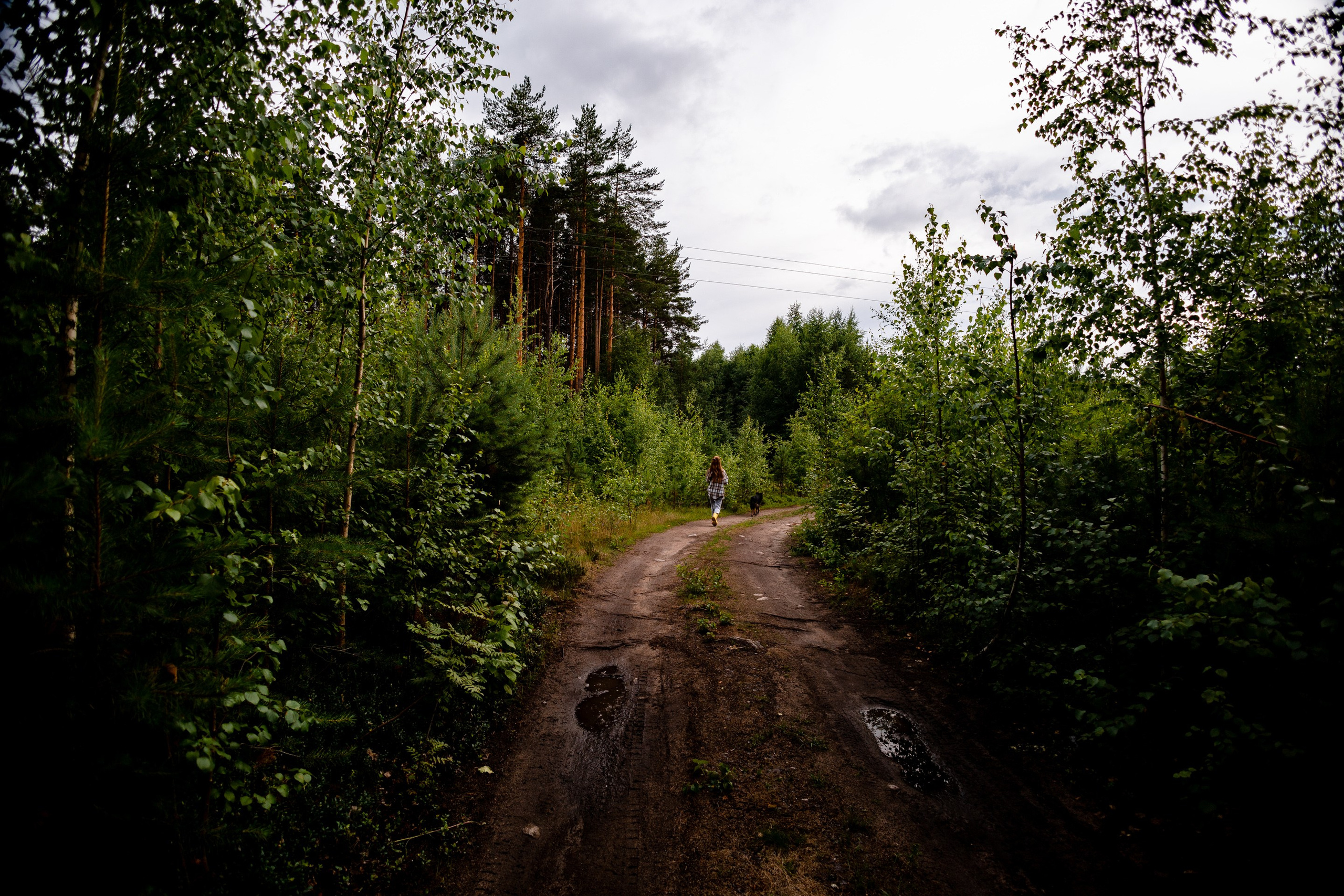 Глэмпинг LampiCamp (Карелия). Павел Шарапов | Фотограф | Москва