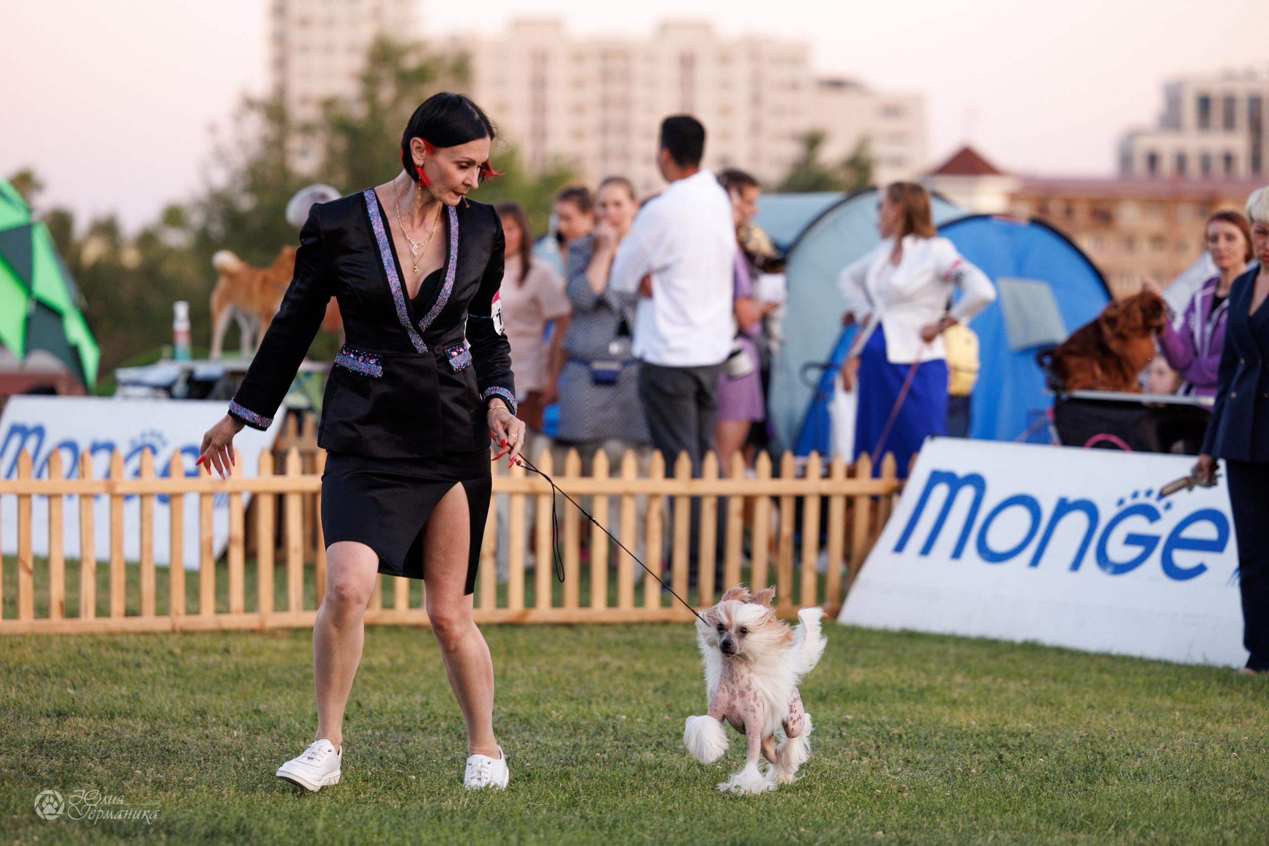 Ереван 3хCACIB 23-25.06.2025. Фотограф-анималист Юлия Германика