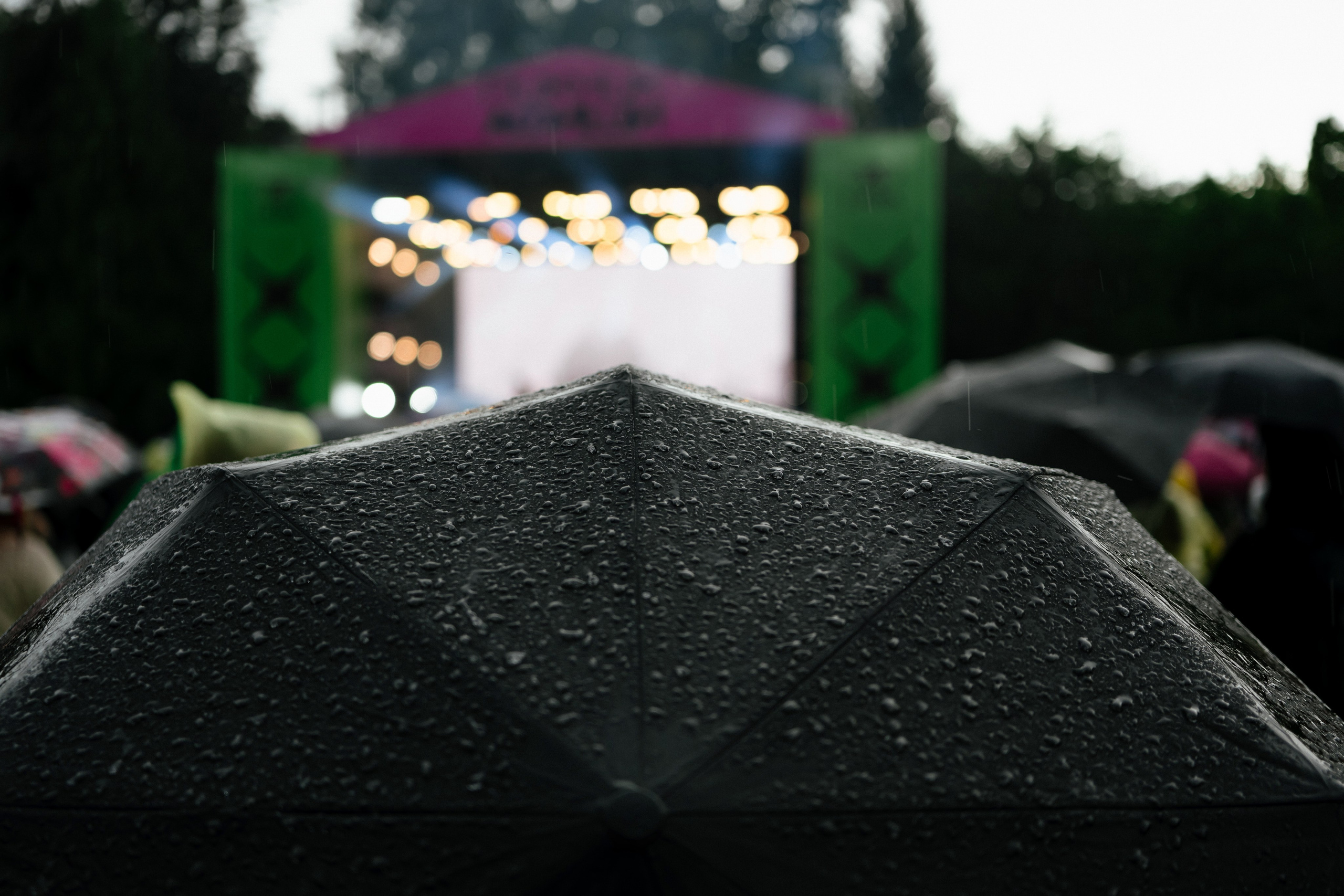 Пикник Афиши стенд ЛАДА. Андрей Сухинин репортажный свадебный фотограф Санкт-Петербург