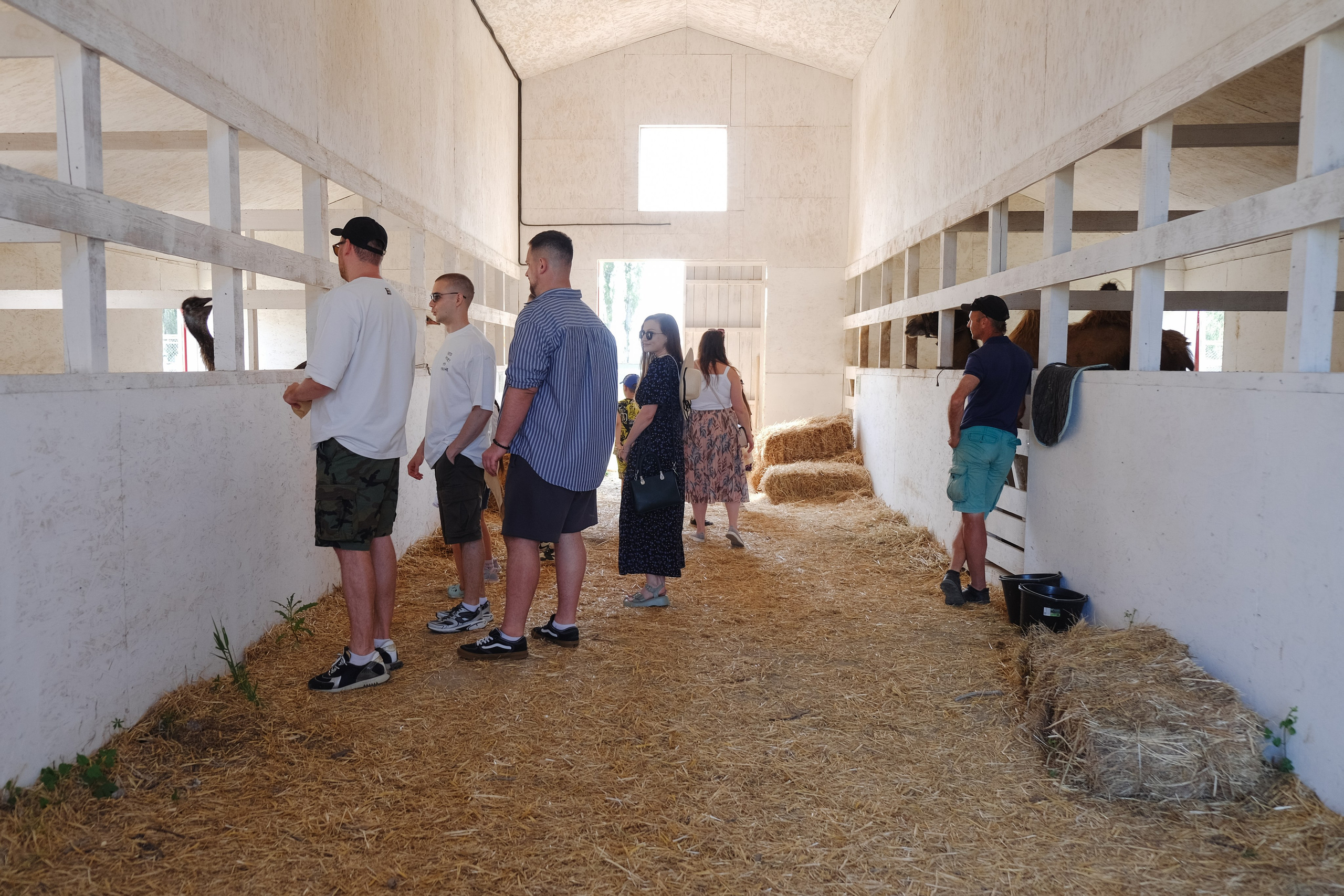 Репортаж на ферме. Профессиональная фотосъемка в Крыму. Натуральные эмоции и живые кадры. Забронируйте дату прямо сейчас!