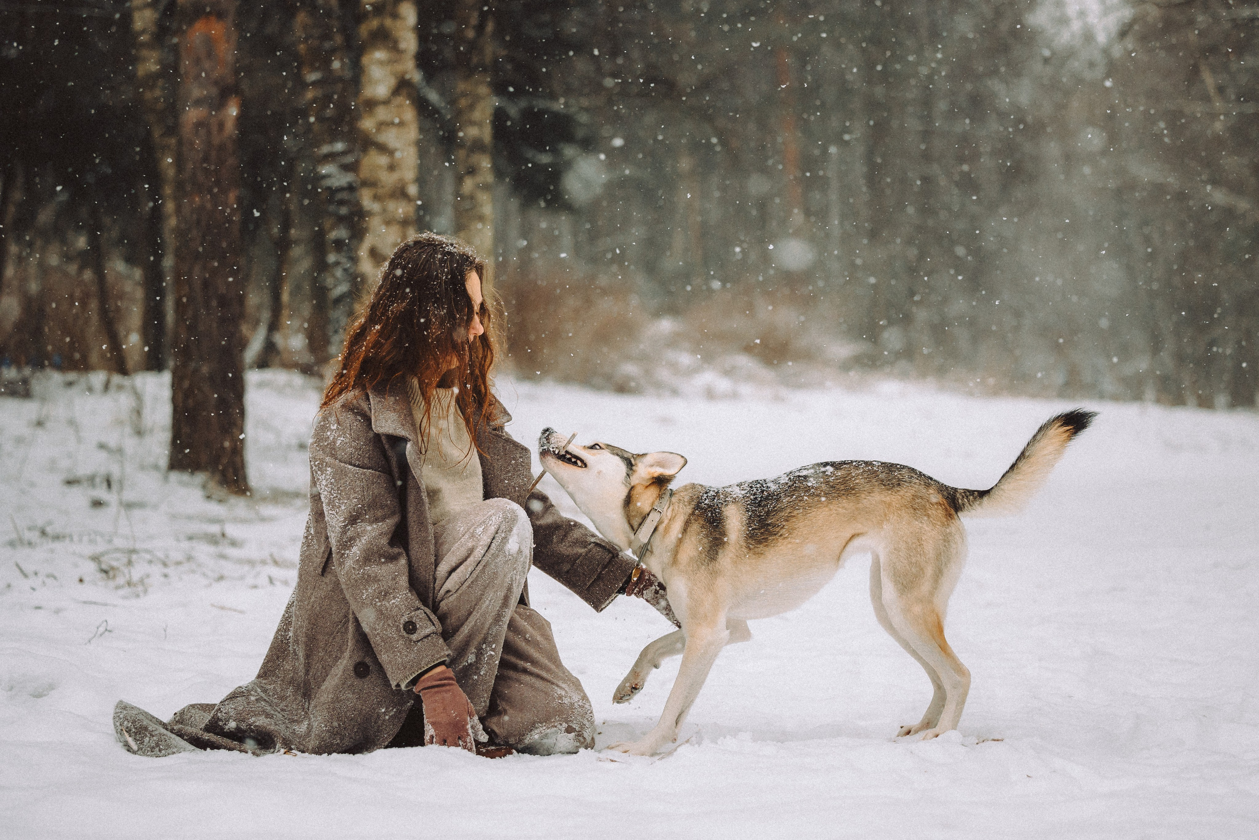 Аня и Рокси