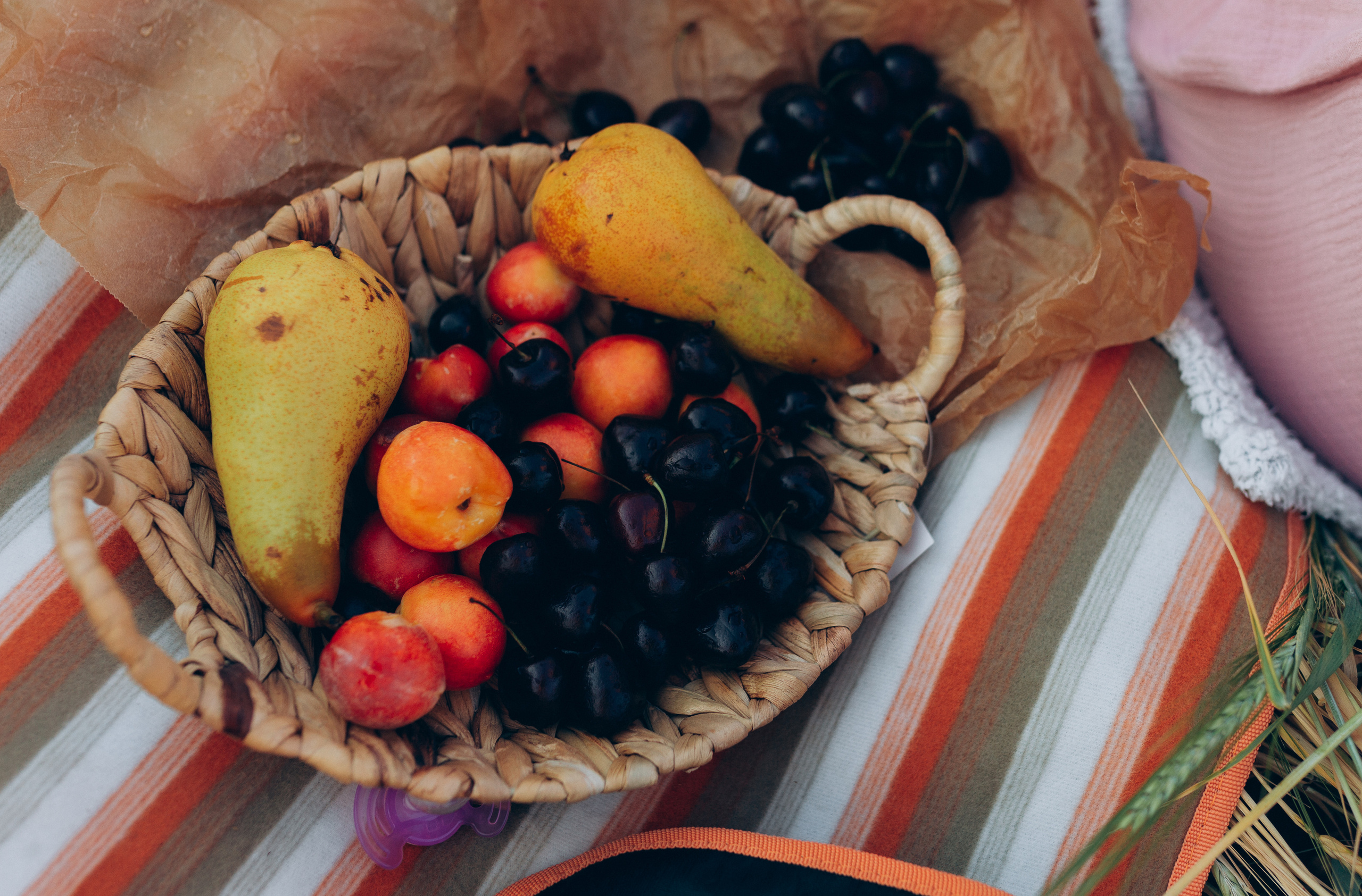 В поле. Фотограф в Челябинске Снежана Резниченко