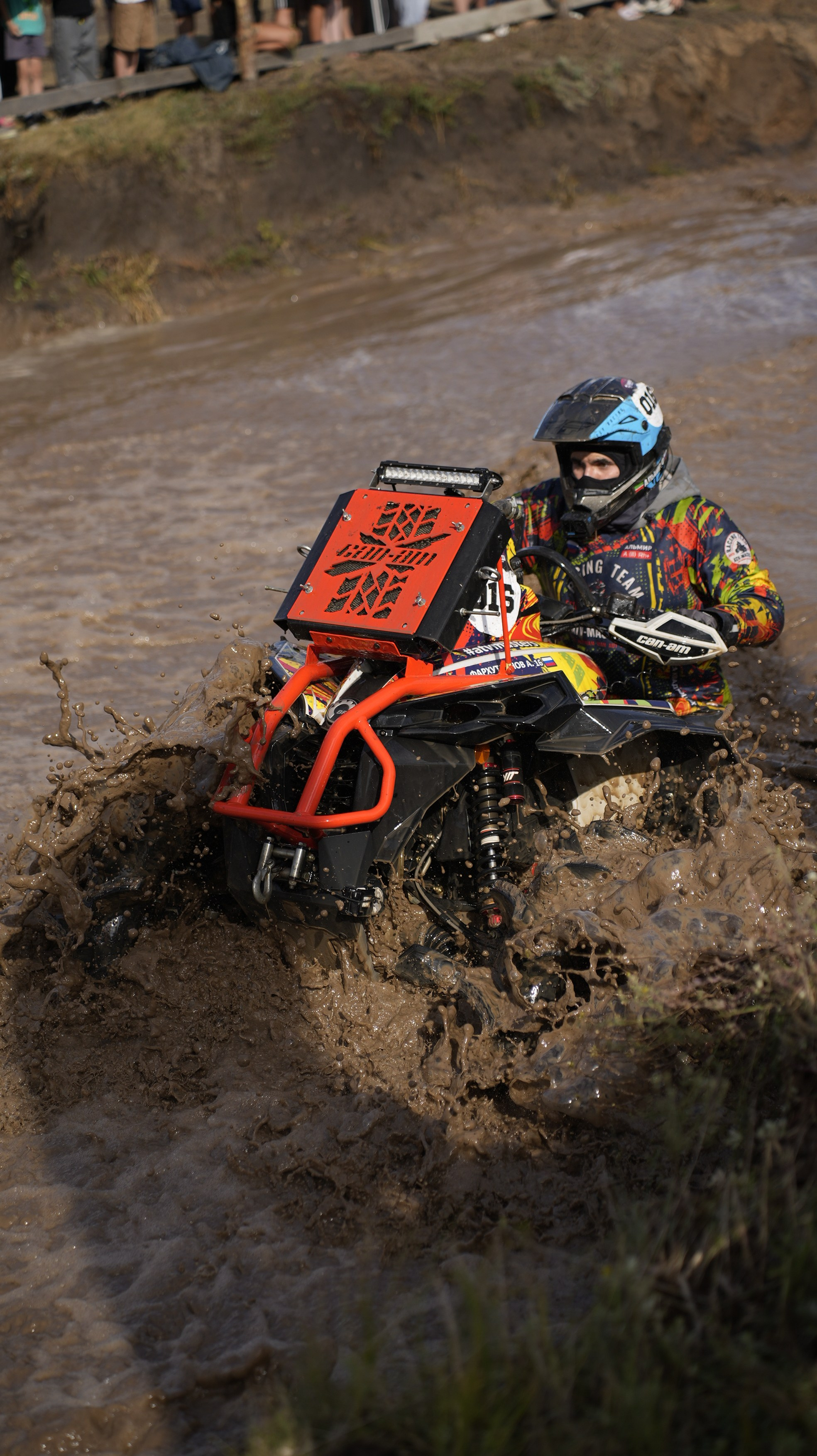 Asset. Георгий Новиков