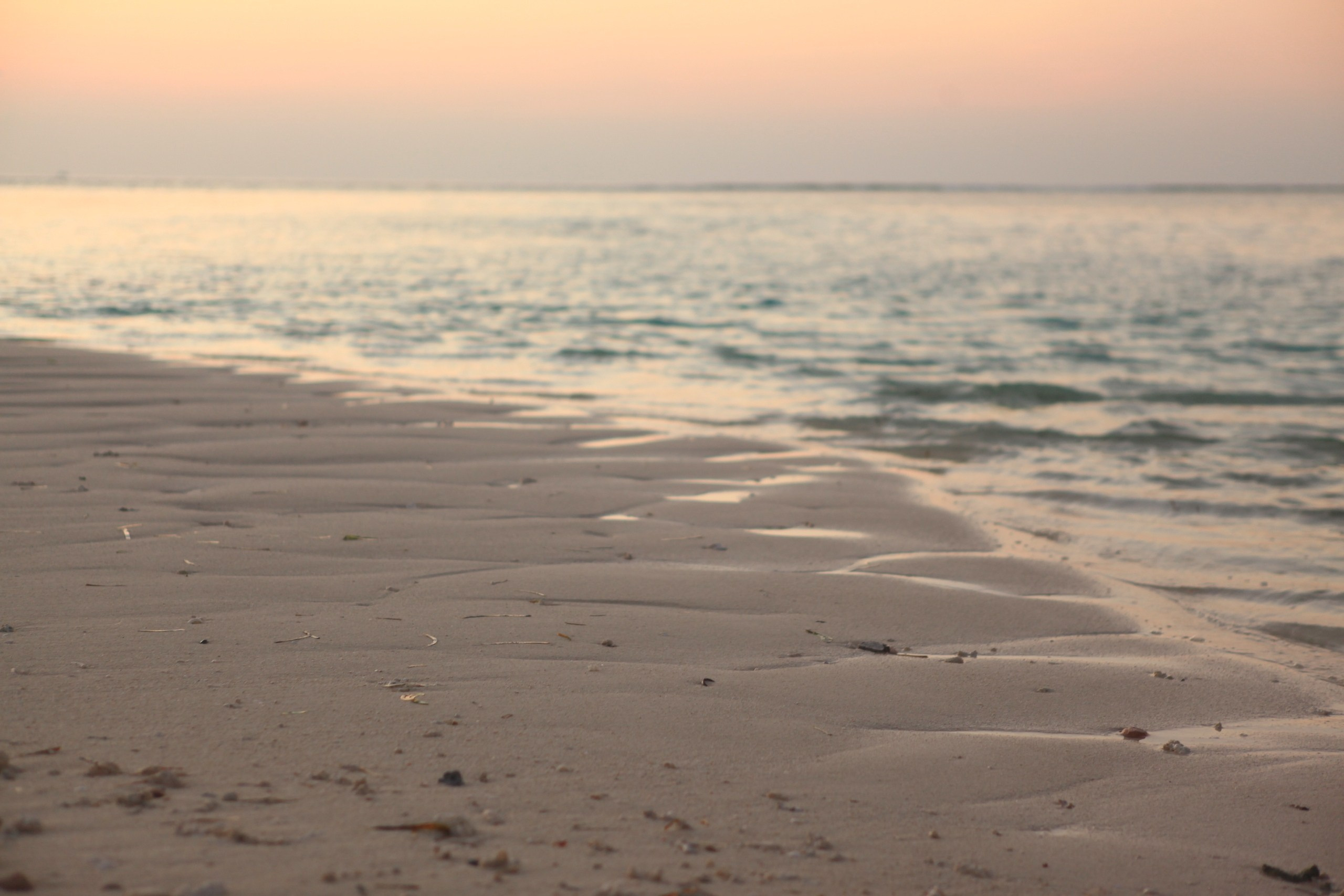 Пейзажи. Фотограф Мельник Ирина. Москва