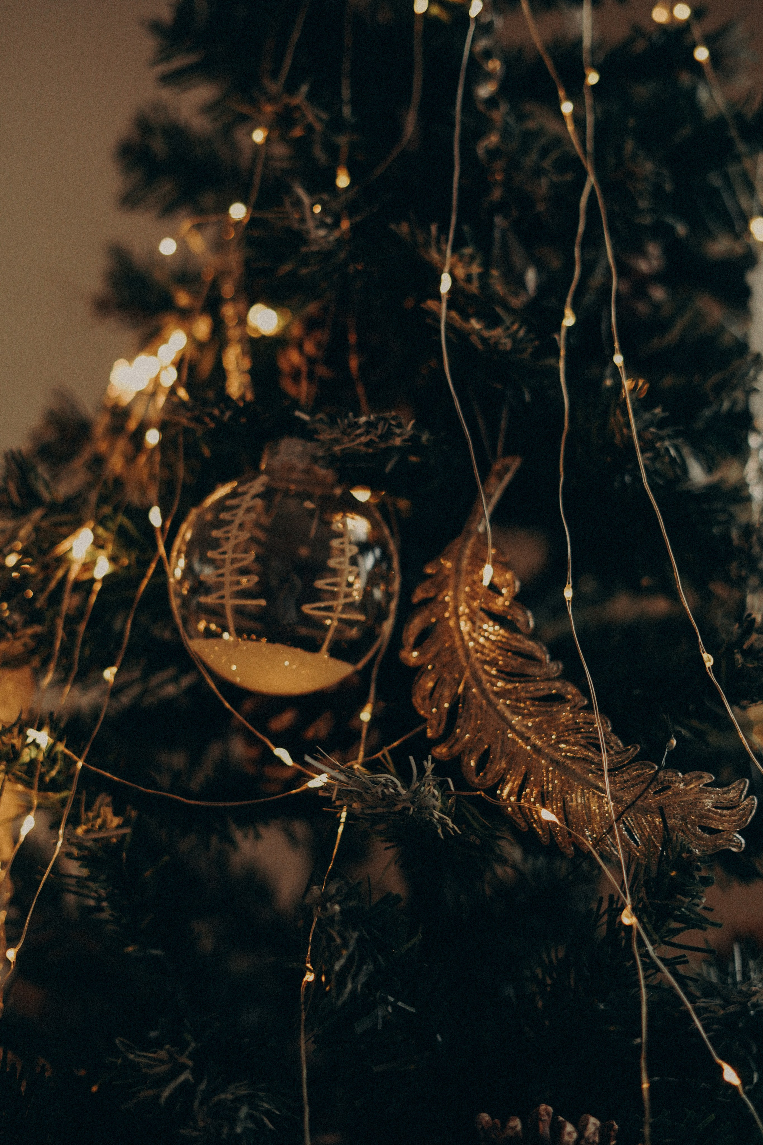 Зал 1. Фотограф Батуми | Ксения Кинасова