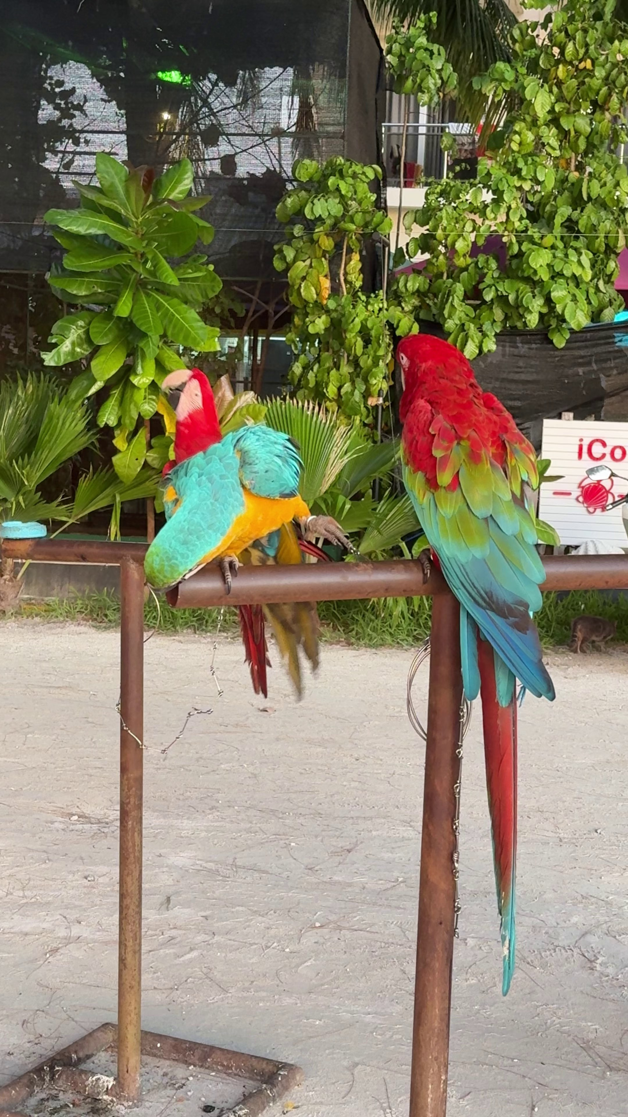 Фототур на Мальдивы. Бутик-агентство эстетичных туров