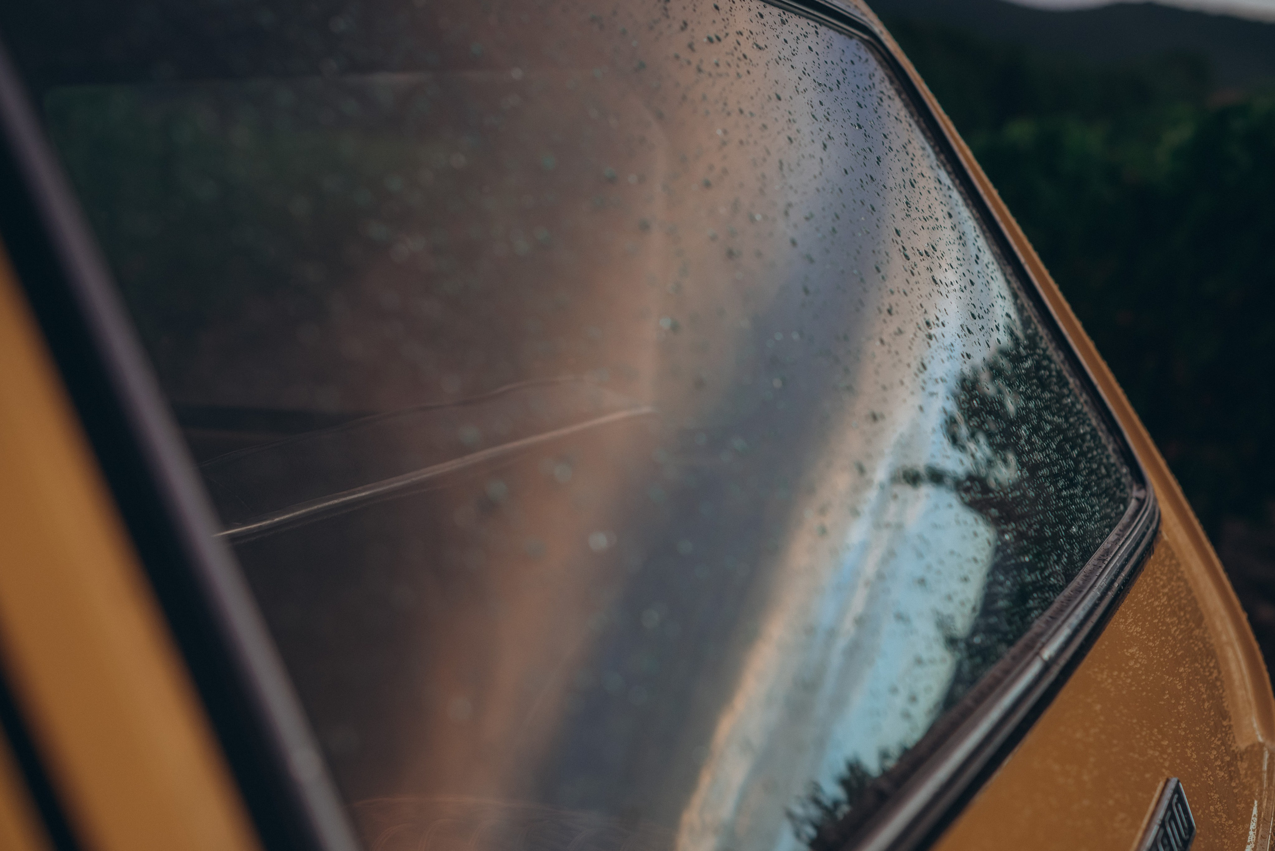 Виноградники. Фотографы Ивановы Краснодарский край