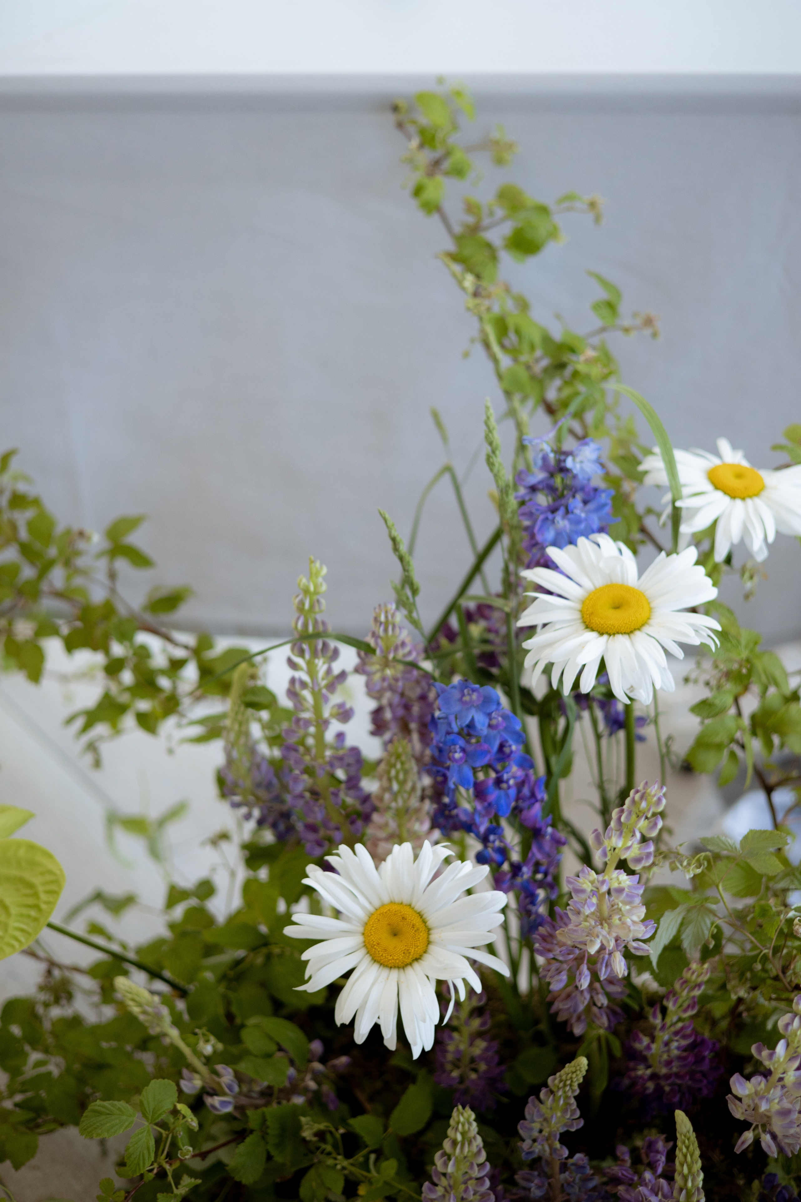 «Московское небо». Оформление свадеб, декор свадеб Вера Маркова, Москва