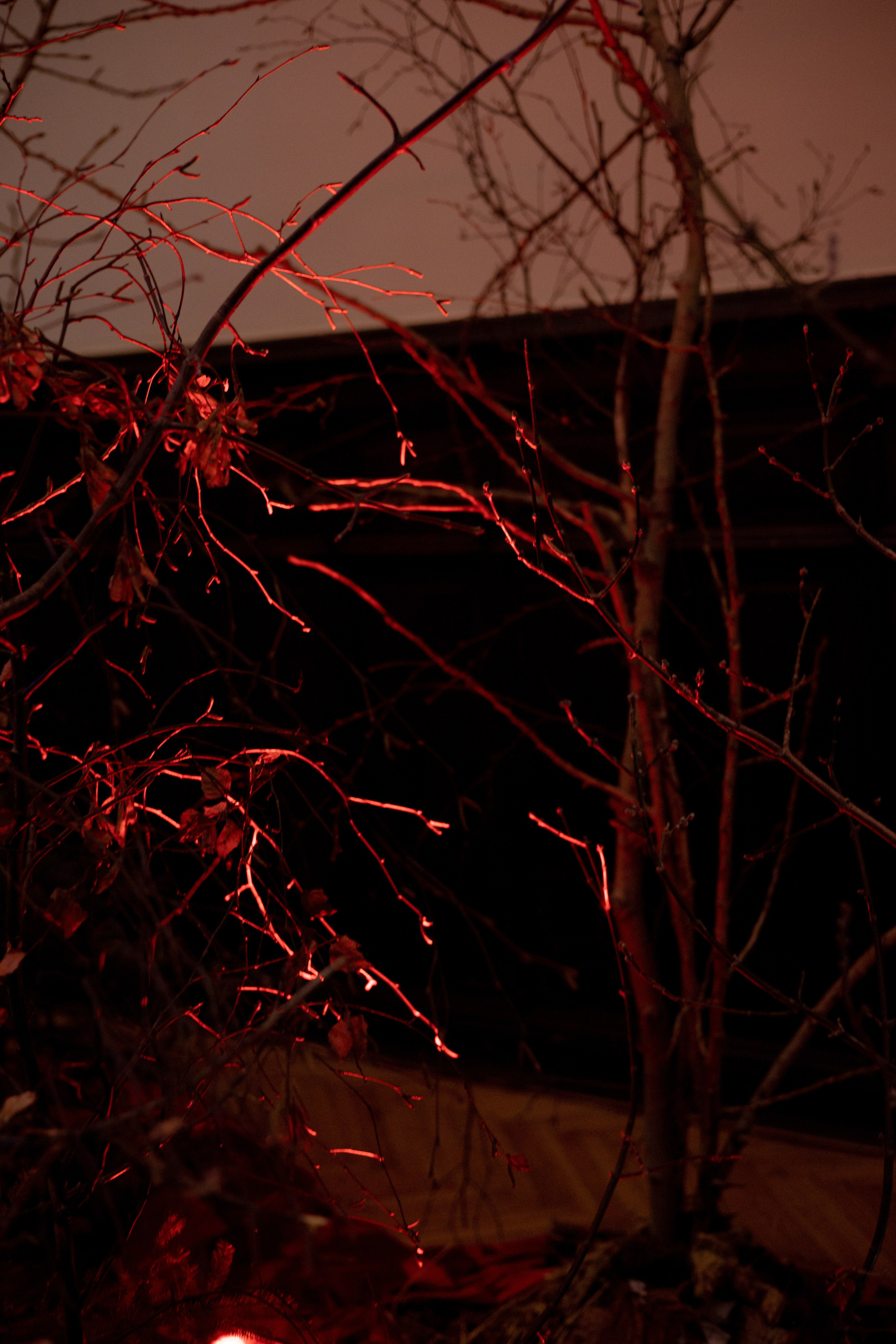 Новогодний корпоратив в фольклорном стиле. Особняк Лемана. Оформление свадеб, декор свадеб Вера Маркова, Москва