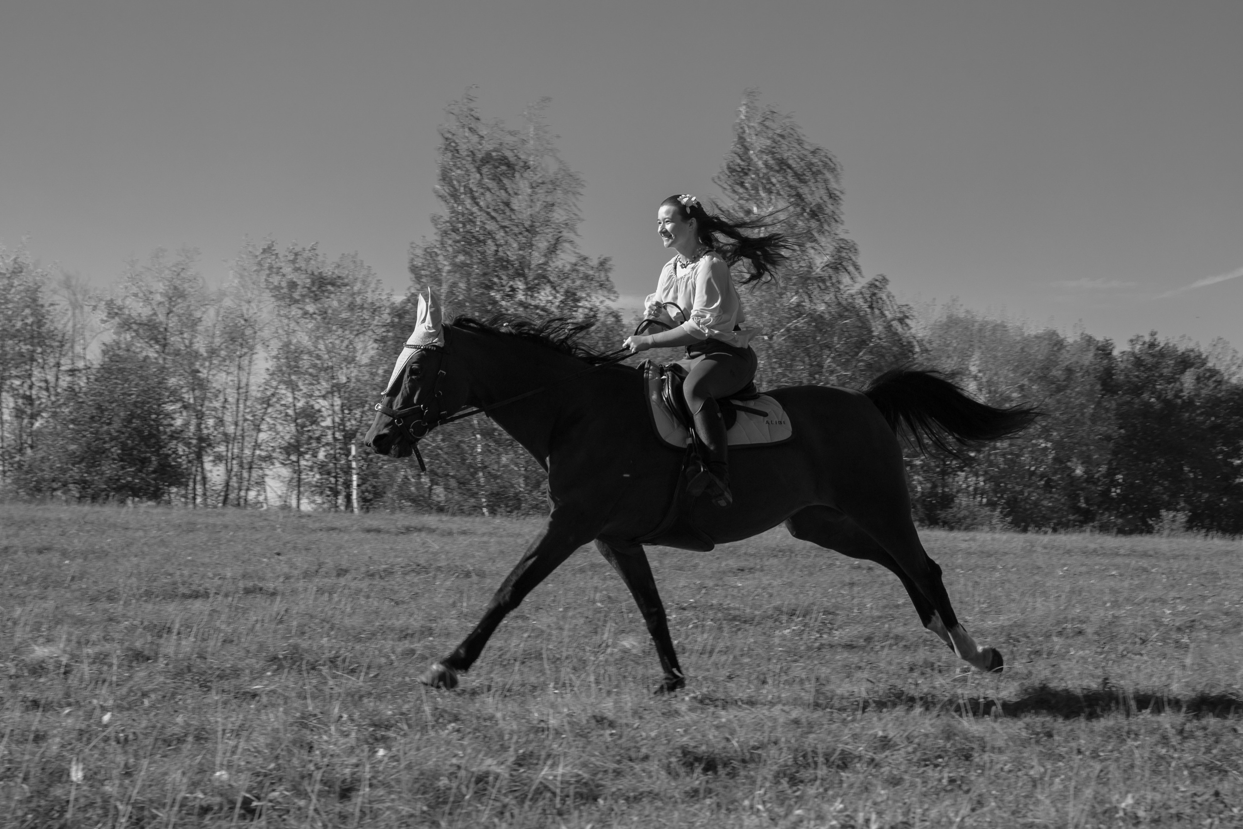 Фотосессия с лошадьми