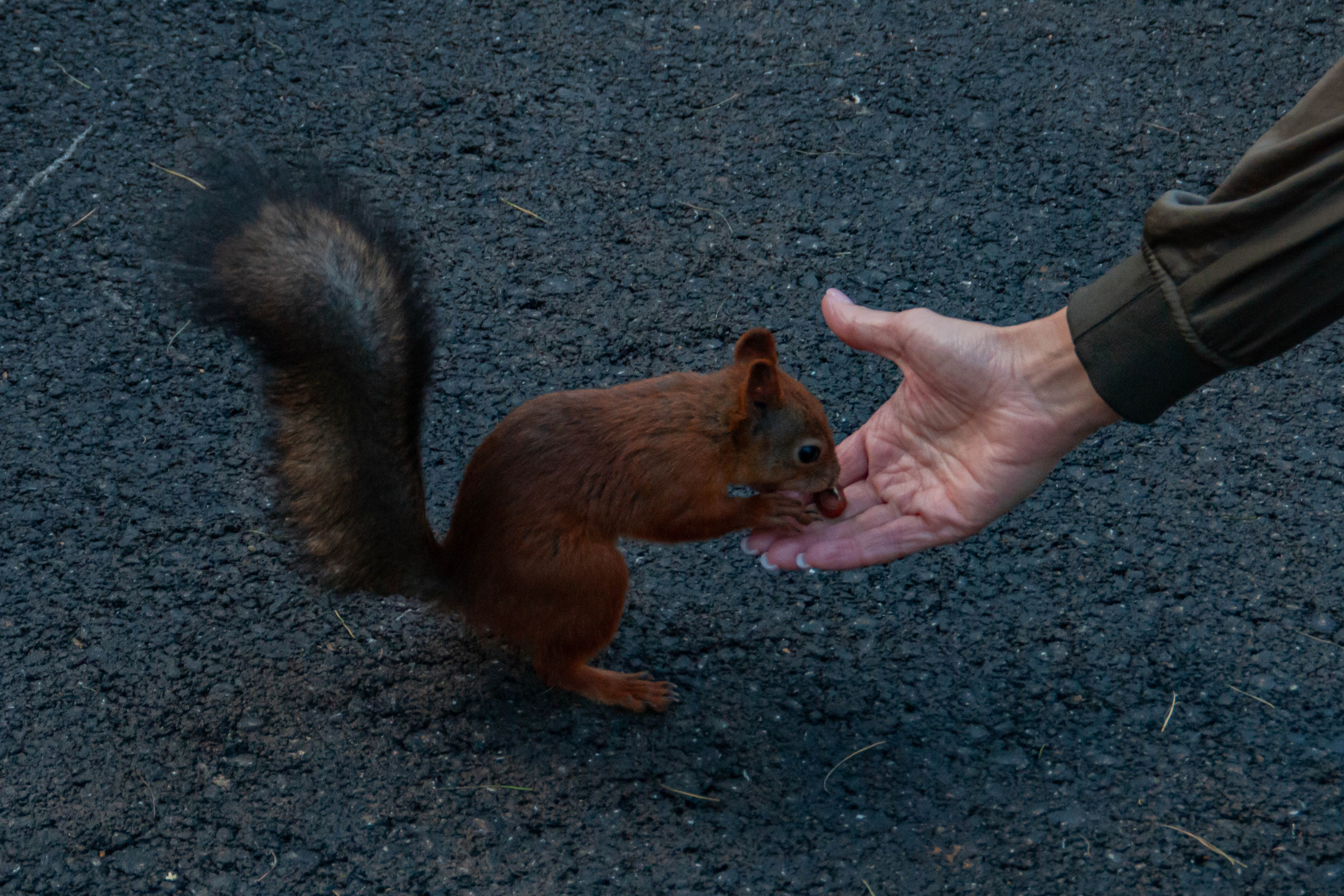 Лица Улиц 2025 х Inclusive Event