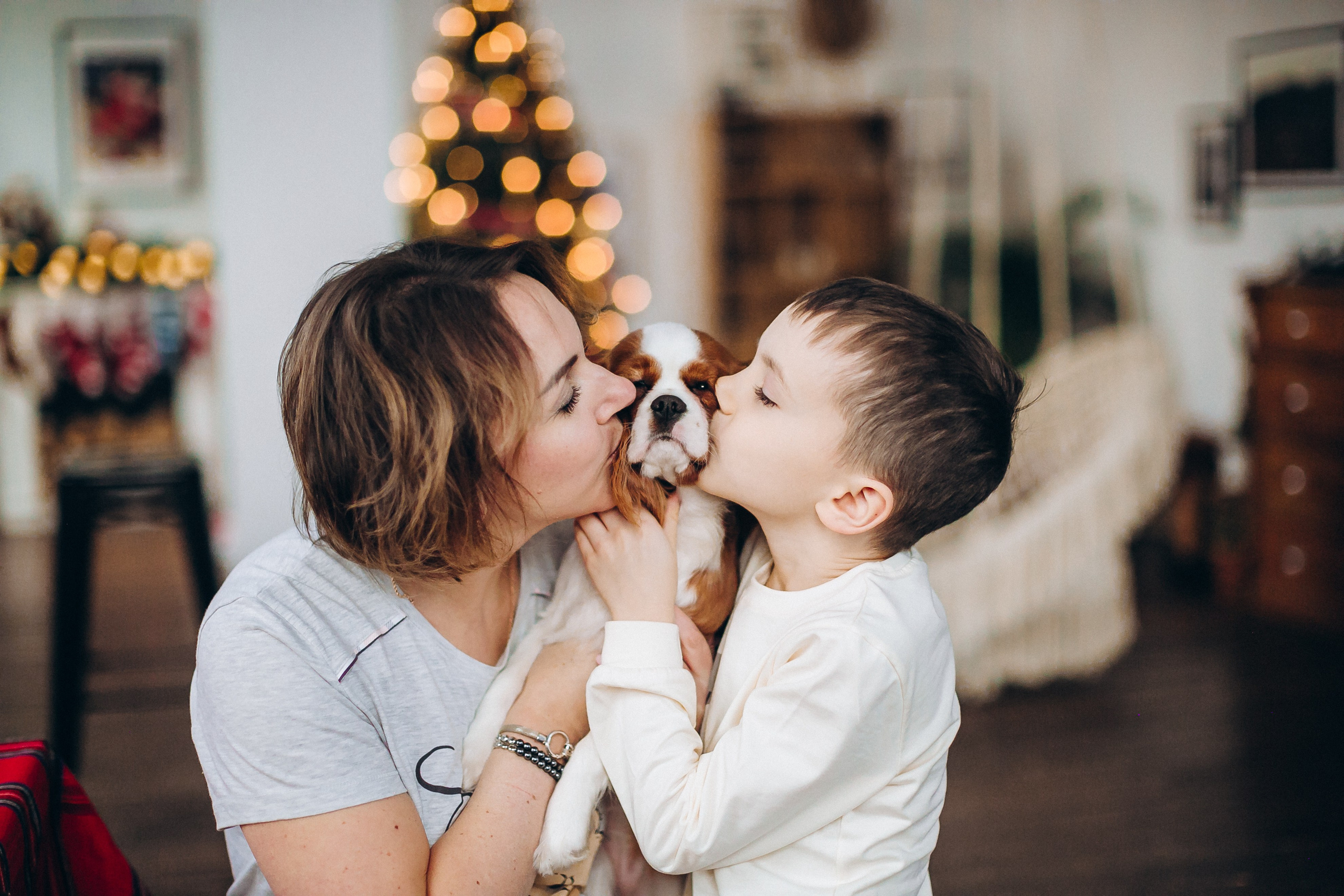 Новогодние фотосессии. Семейный, детский и школьный фотограф в Москве Рудницкая Анна