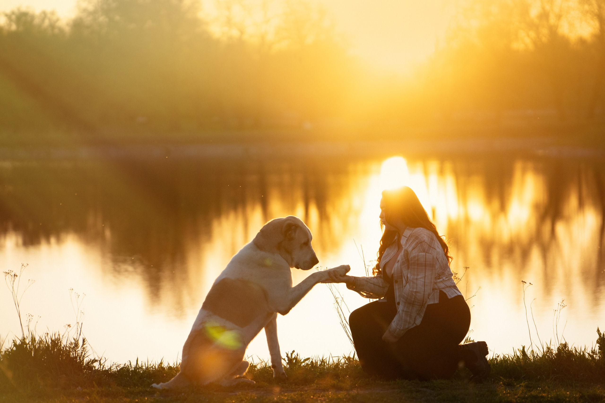 Настя и Рахат. Фотограф анималист в Москве и Санкт-Петербурге Свиридова Анна