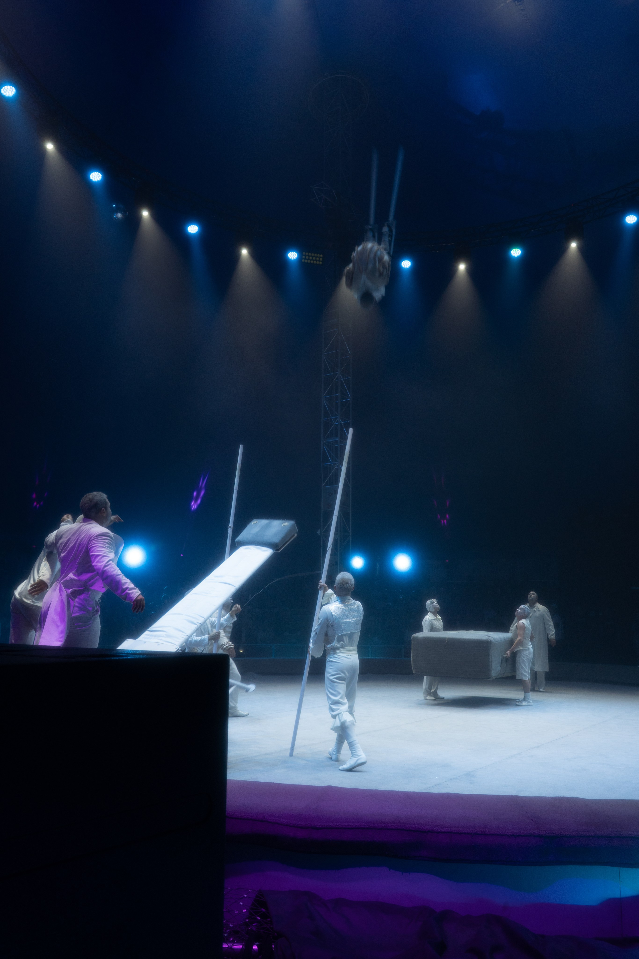 Circus. Фотограф в Москве Шалышко Ангелина