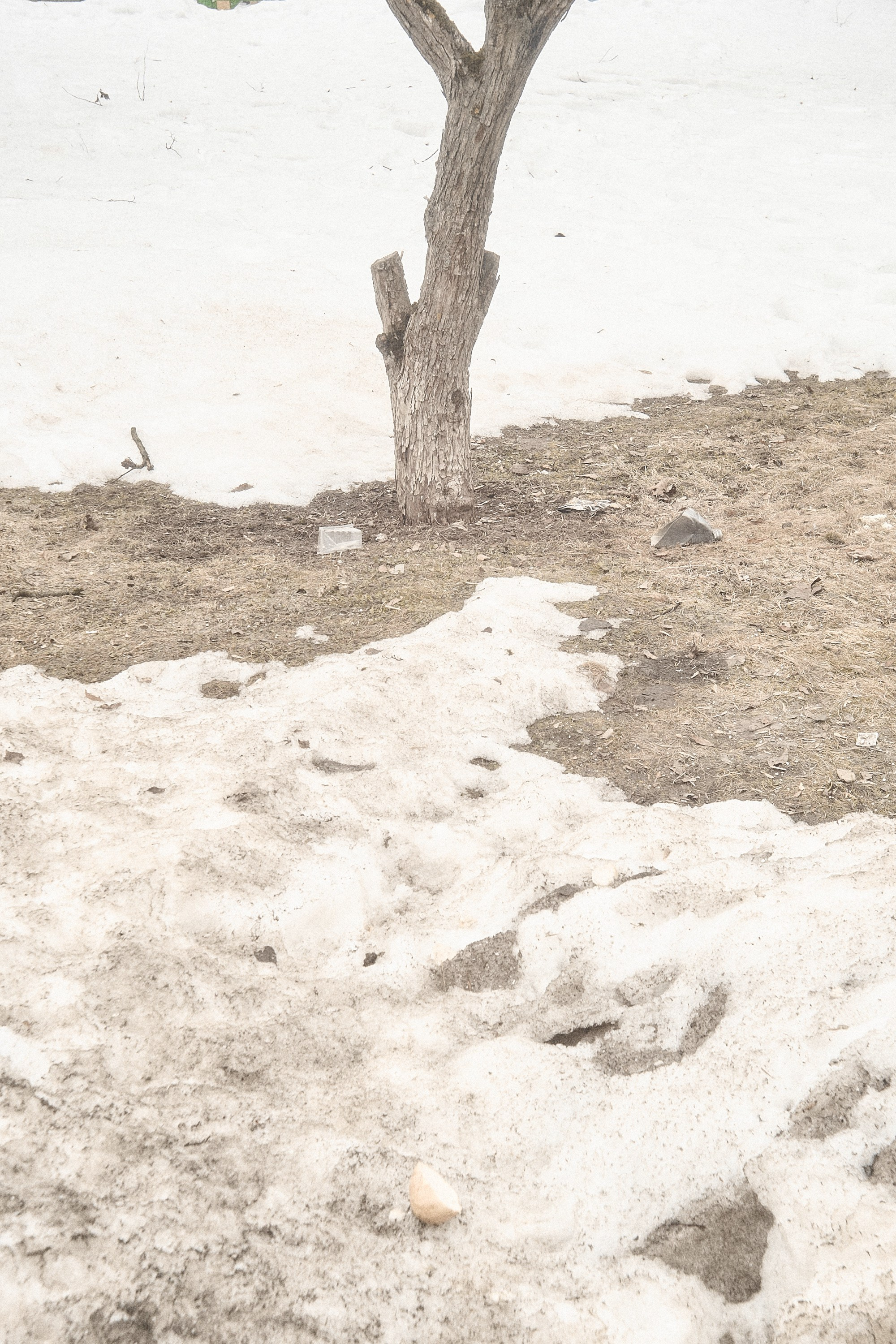 Формы Дерева 22г -…. Фотограф и оператор мероприятий, концертов и портретов в городе Москва