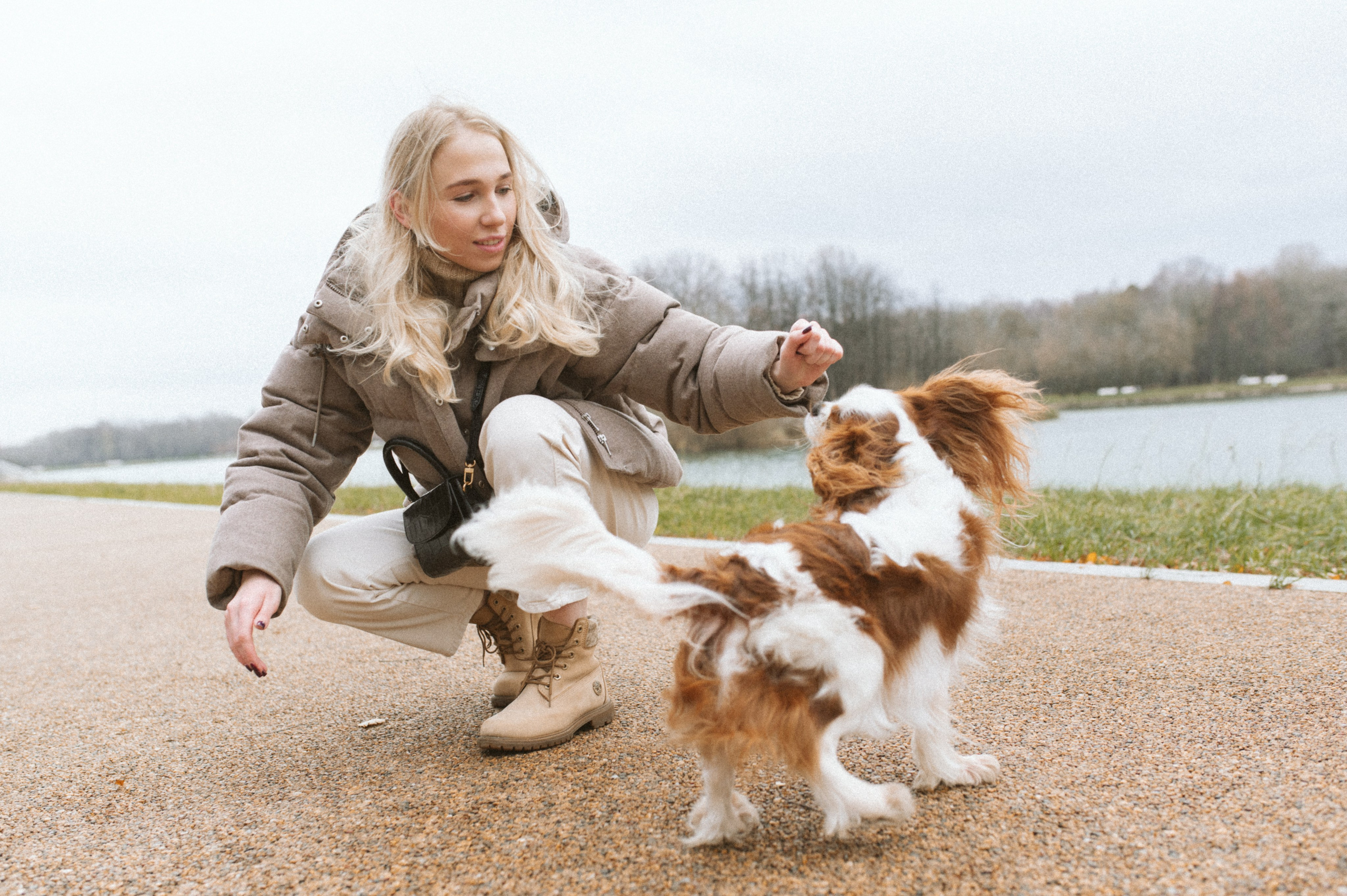 Настя и Тэйлор. Фотограф анималист в Москве Ольга Агушева