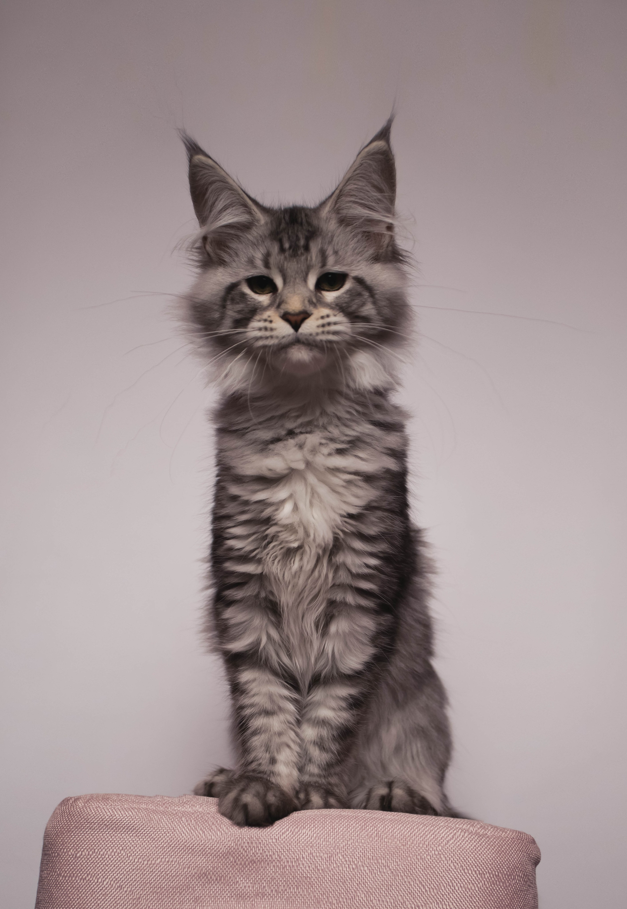 HanFors. Женский и предметный фотограф